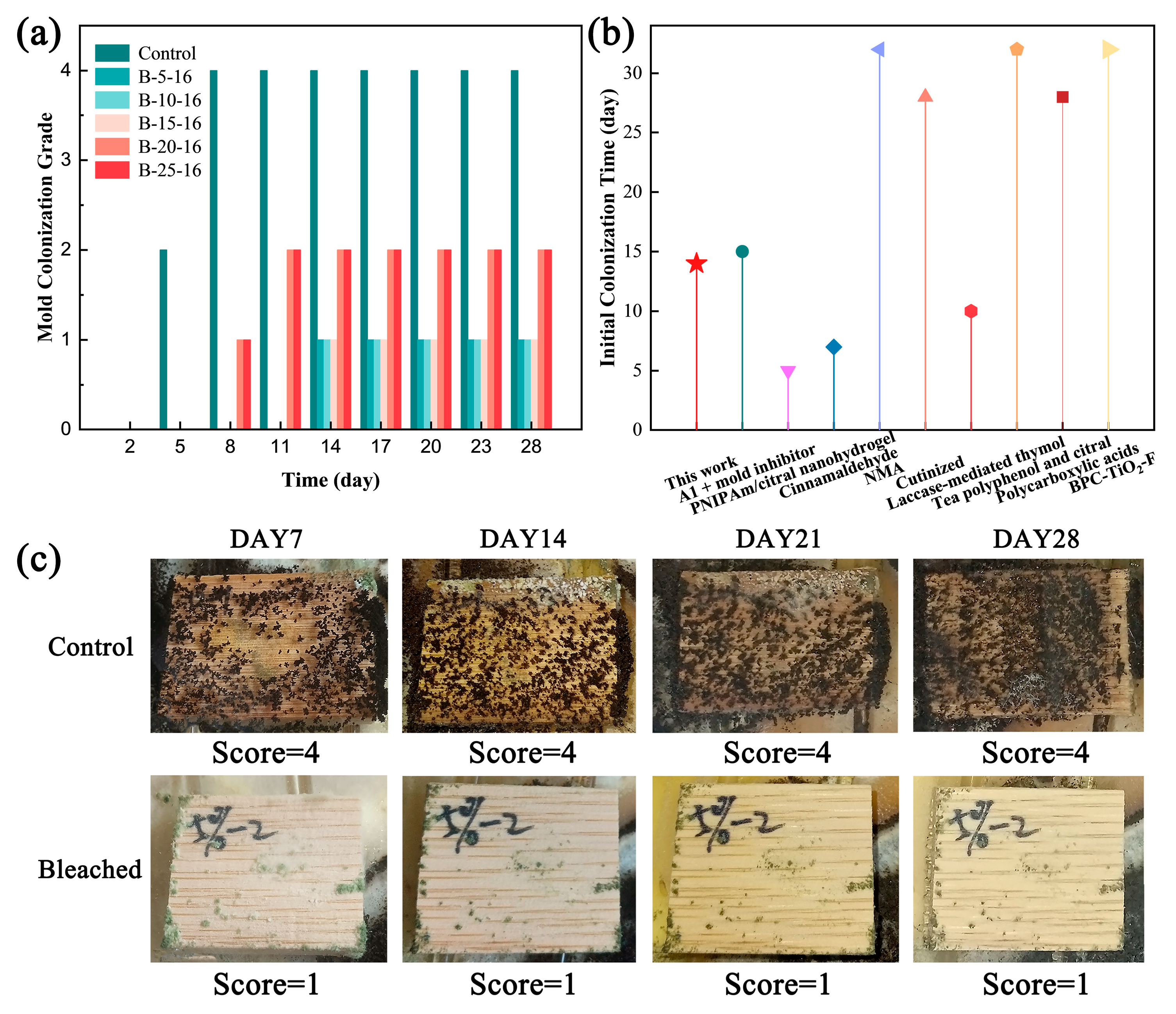 Forests 16 00964 g005