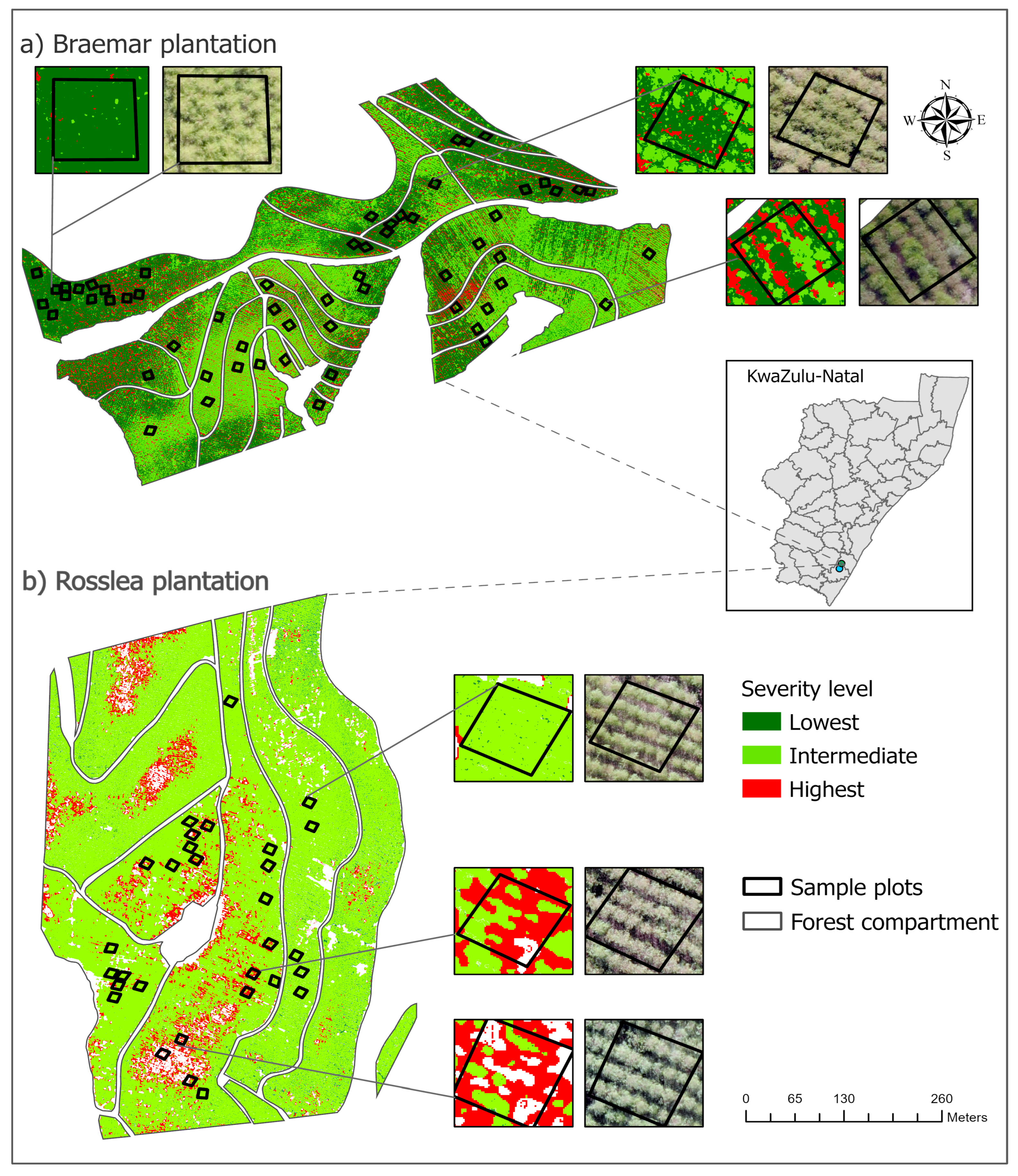 Forests 16 00966 g010 Forests 16 00966 g010