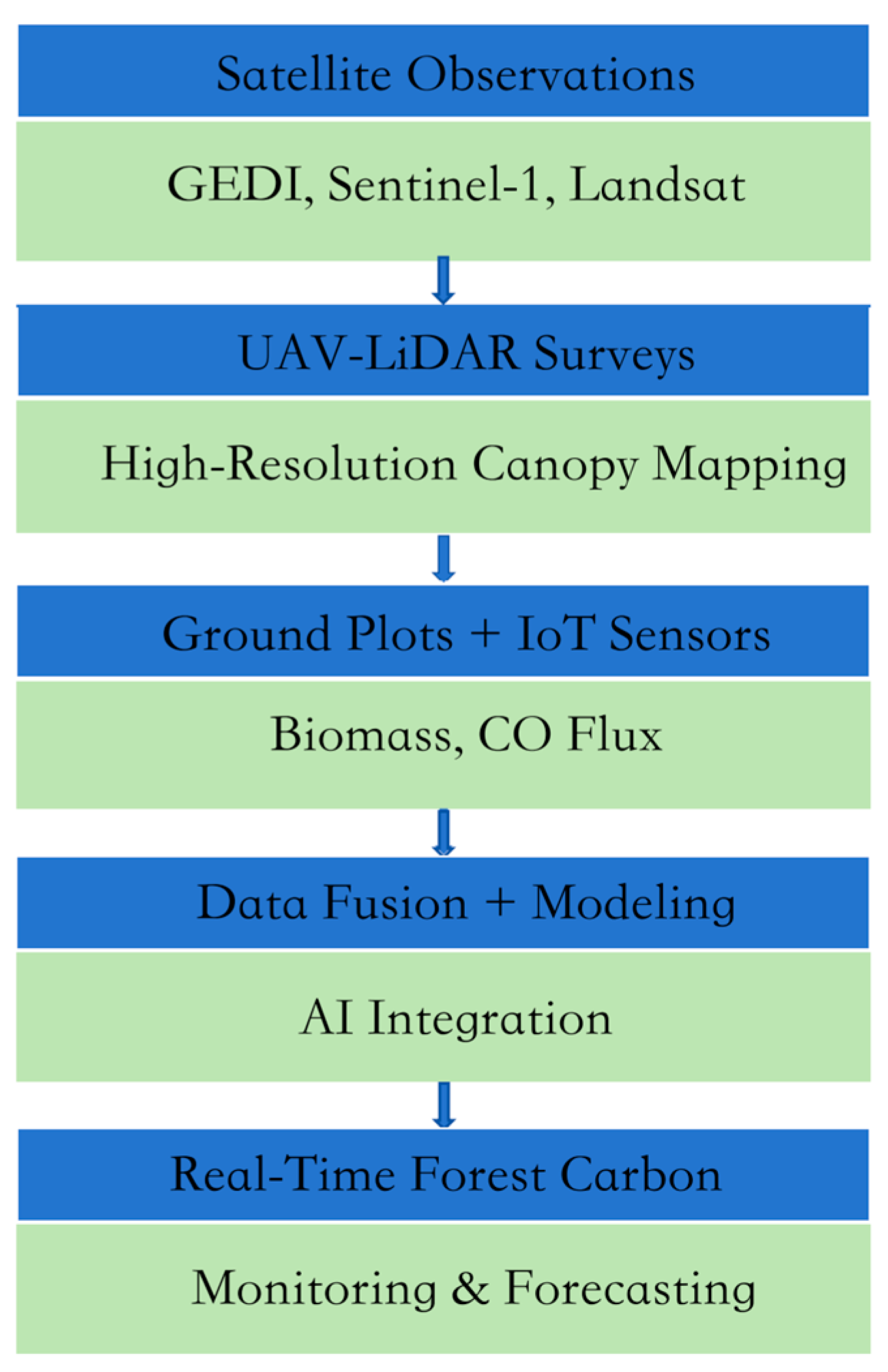 Forests 16 00971 g005