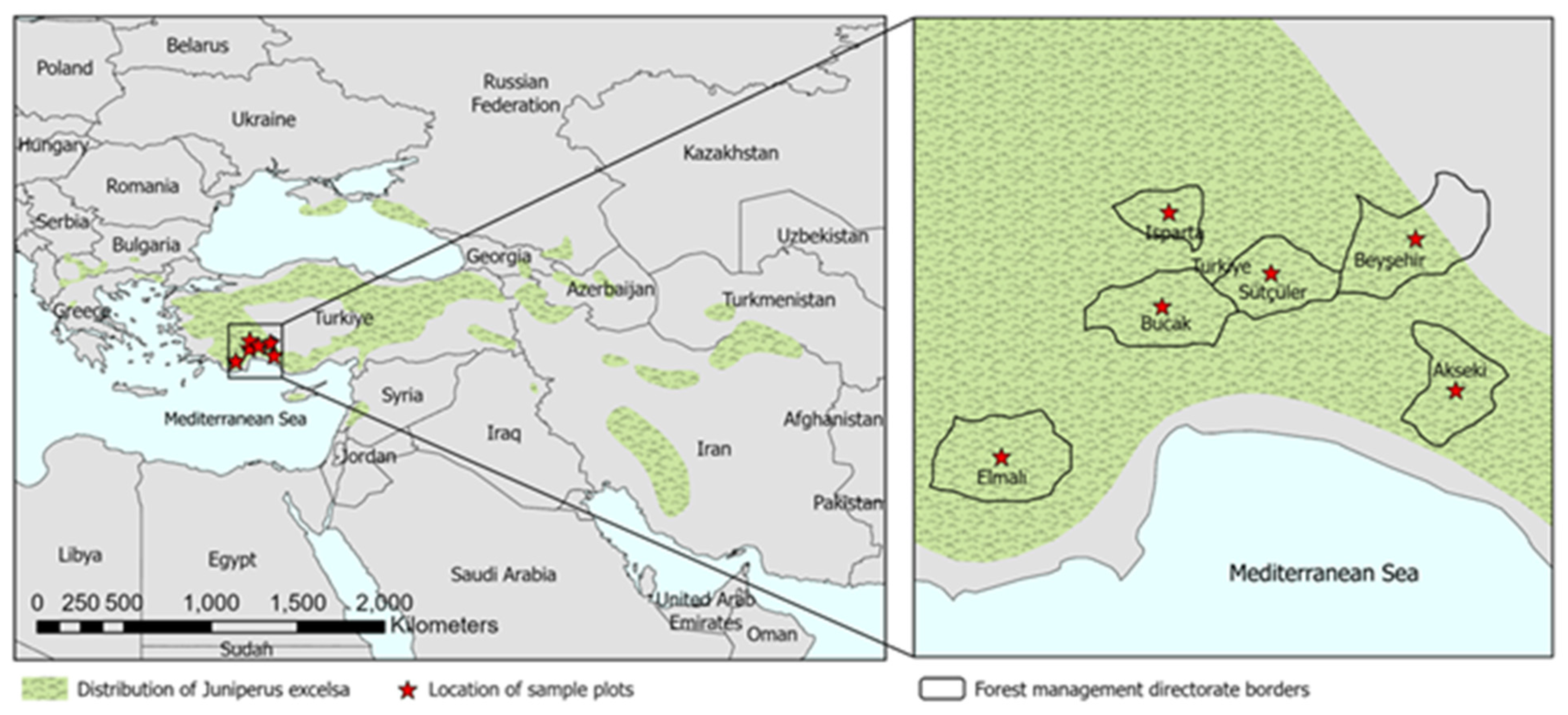 Forests 16 00972 g001