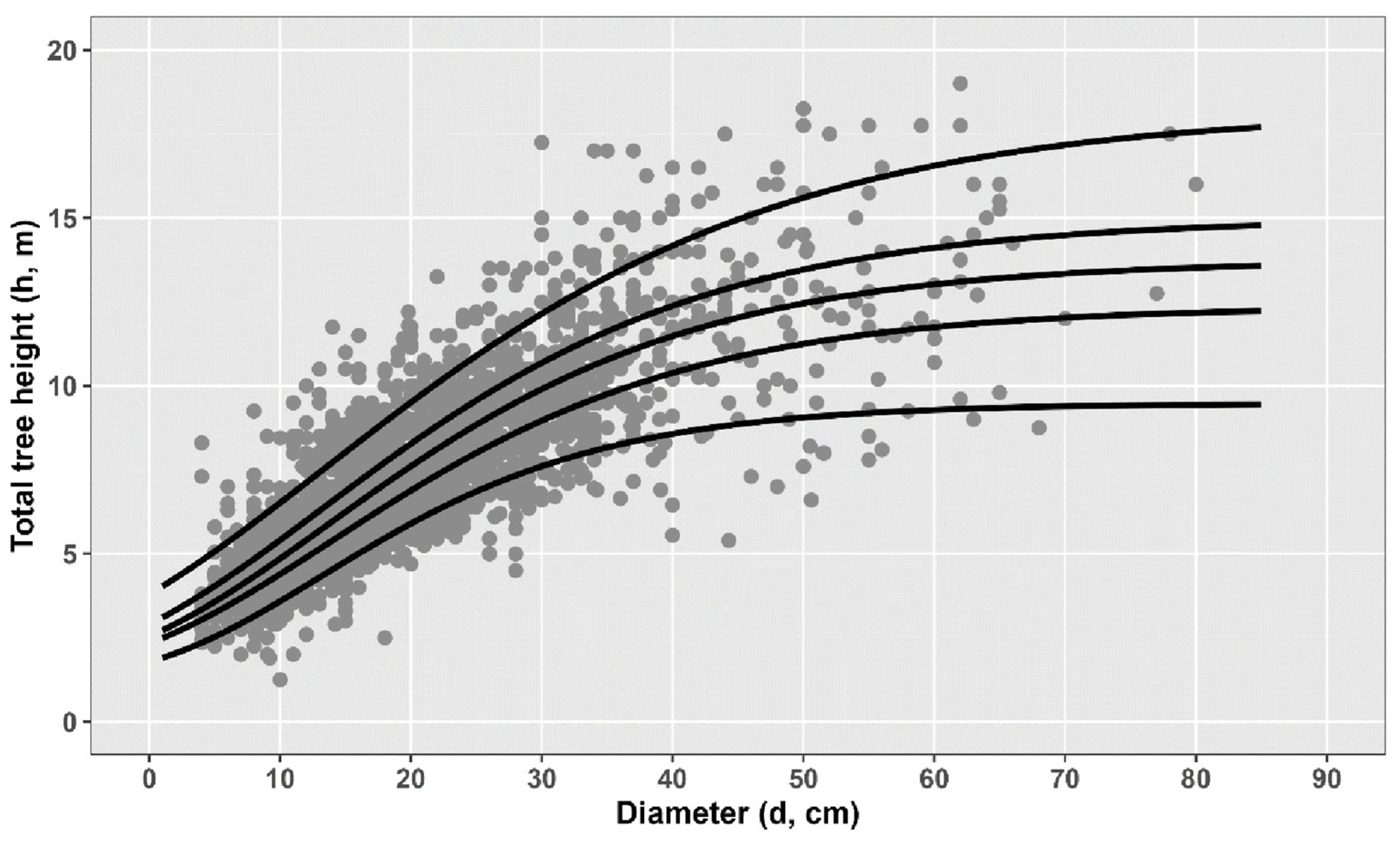 Forests 16 00972 g003