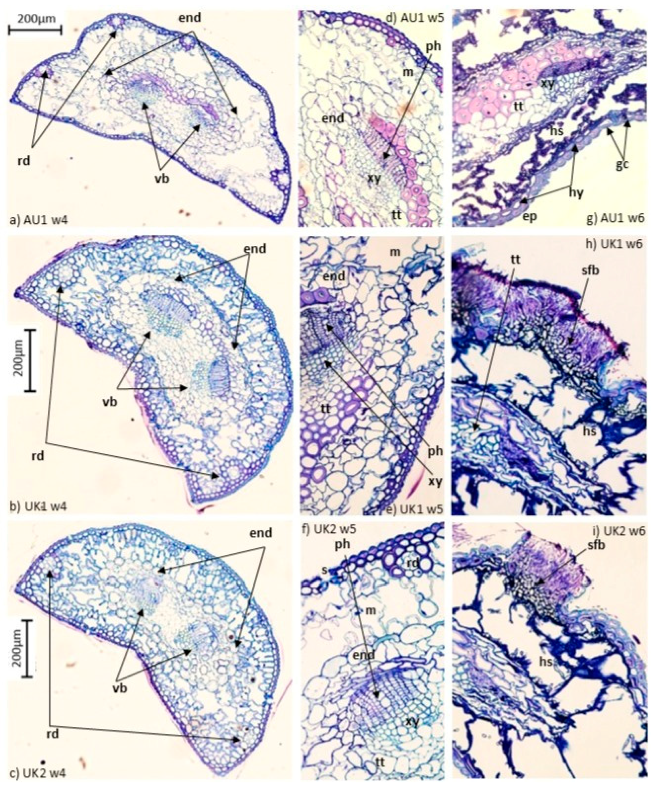 Forests 16 00973 g001