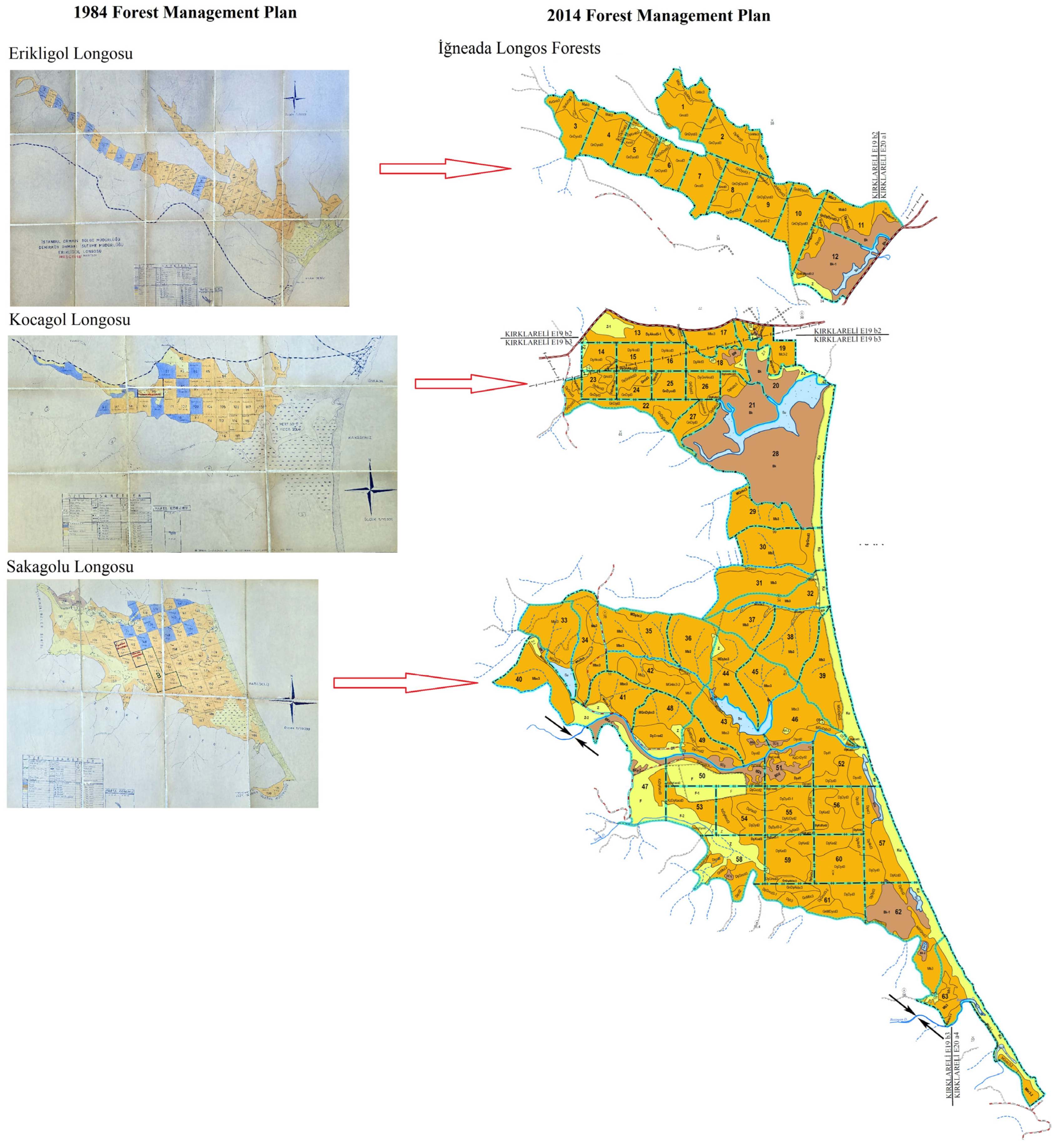 Forests 16 00976 g003