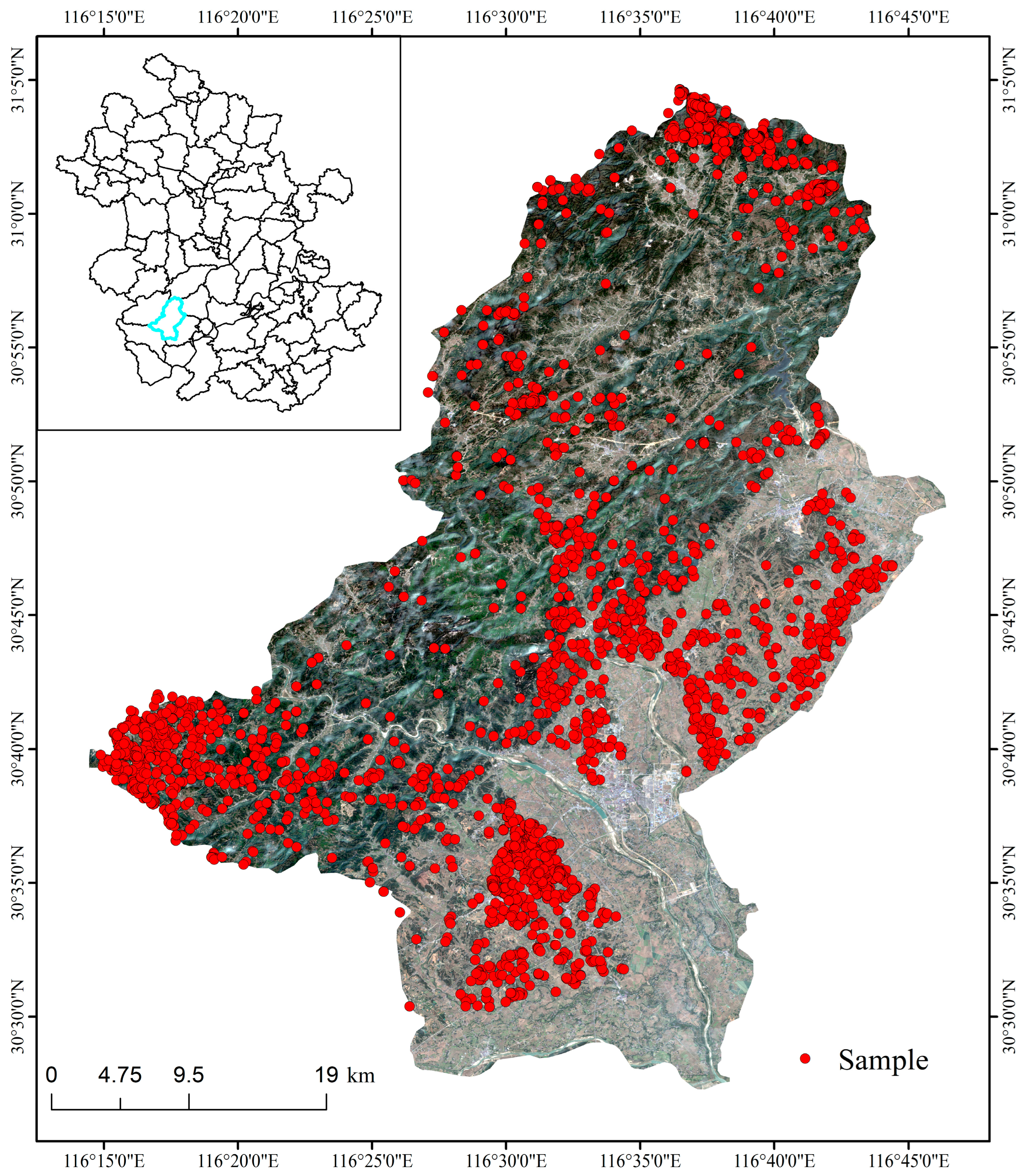 Forests 16 00981 g003