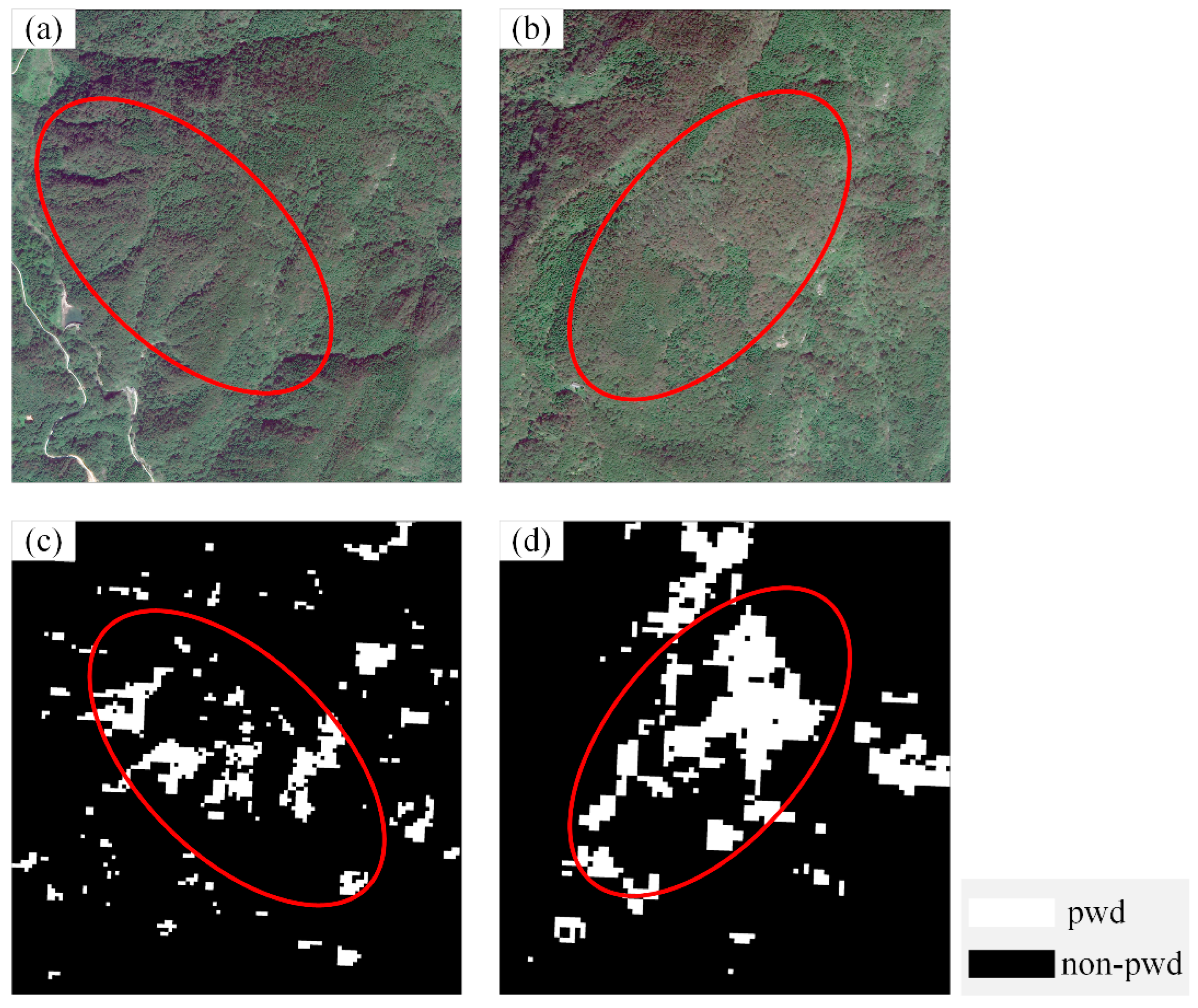 Forests 16 00981 g007
