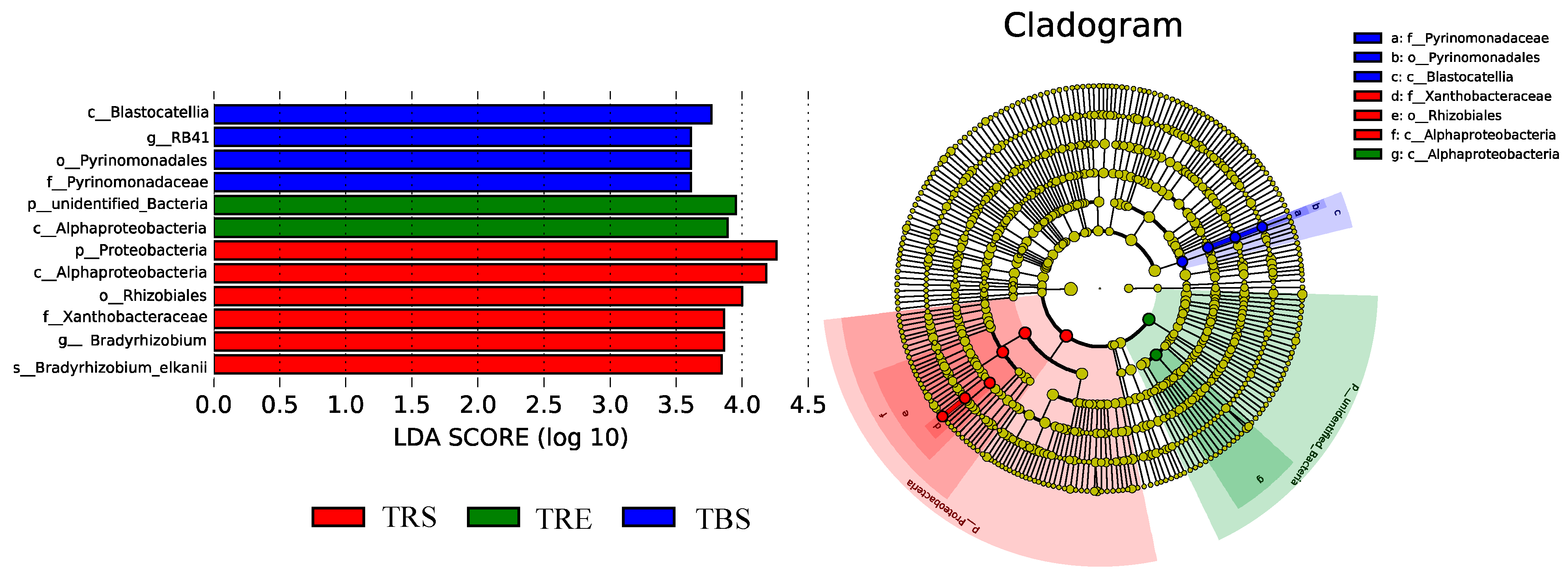 Forests 16 00982 g004