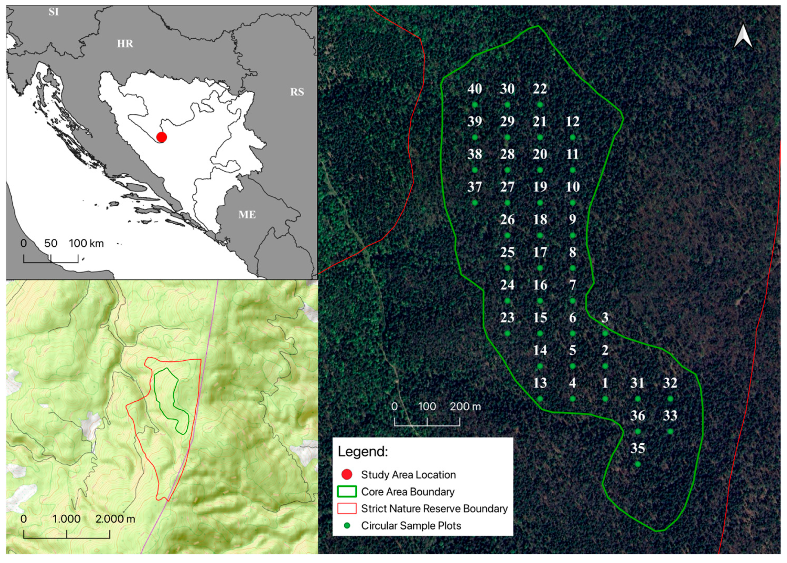 Forests 16 00988 g001