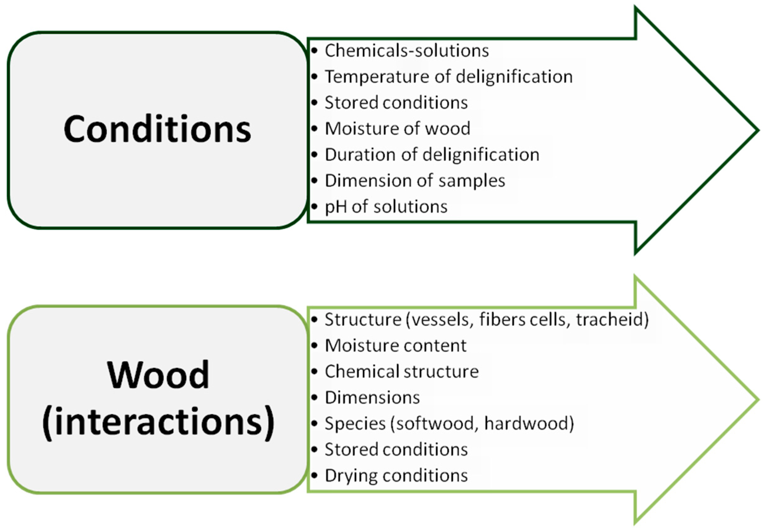 Forests 16 00993 g002 Forests 16 00993 g002