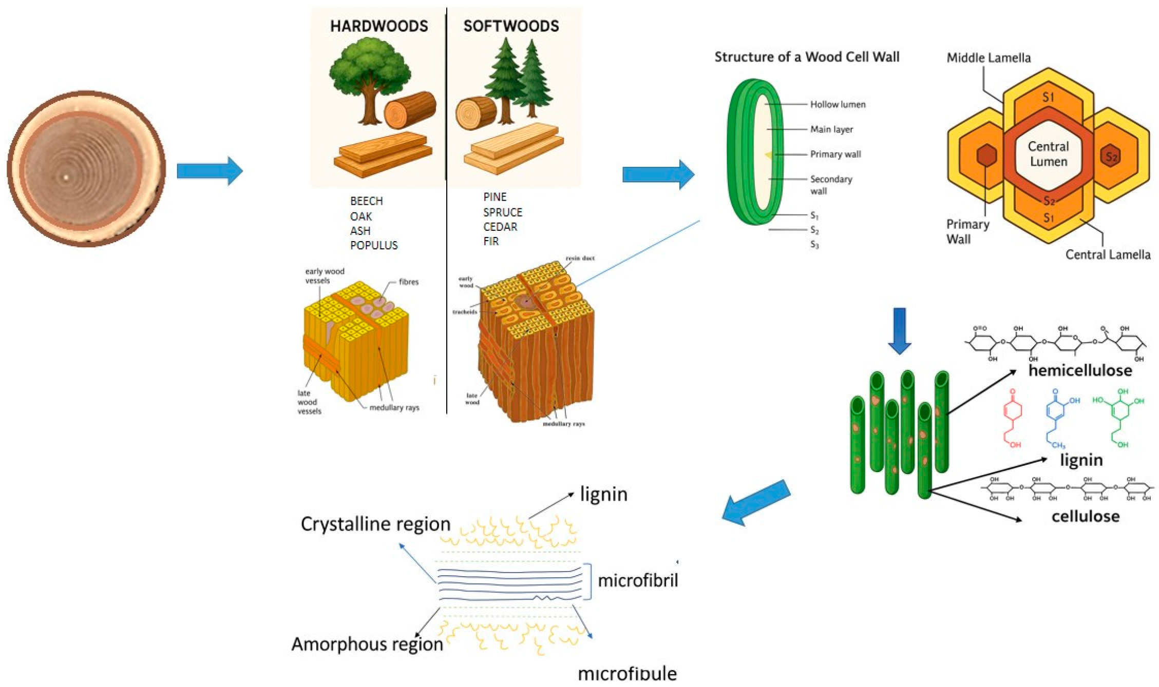 Forests 16 00993 g003 Forests 16 00993 g003