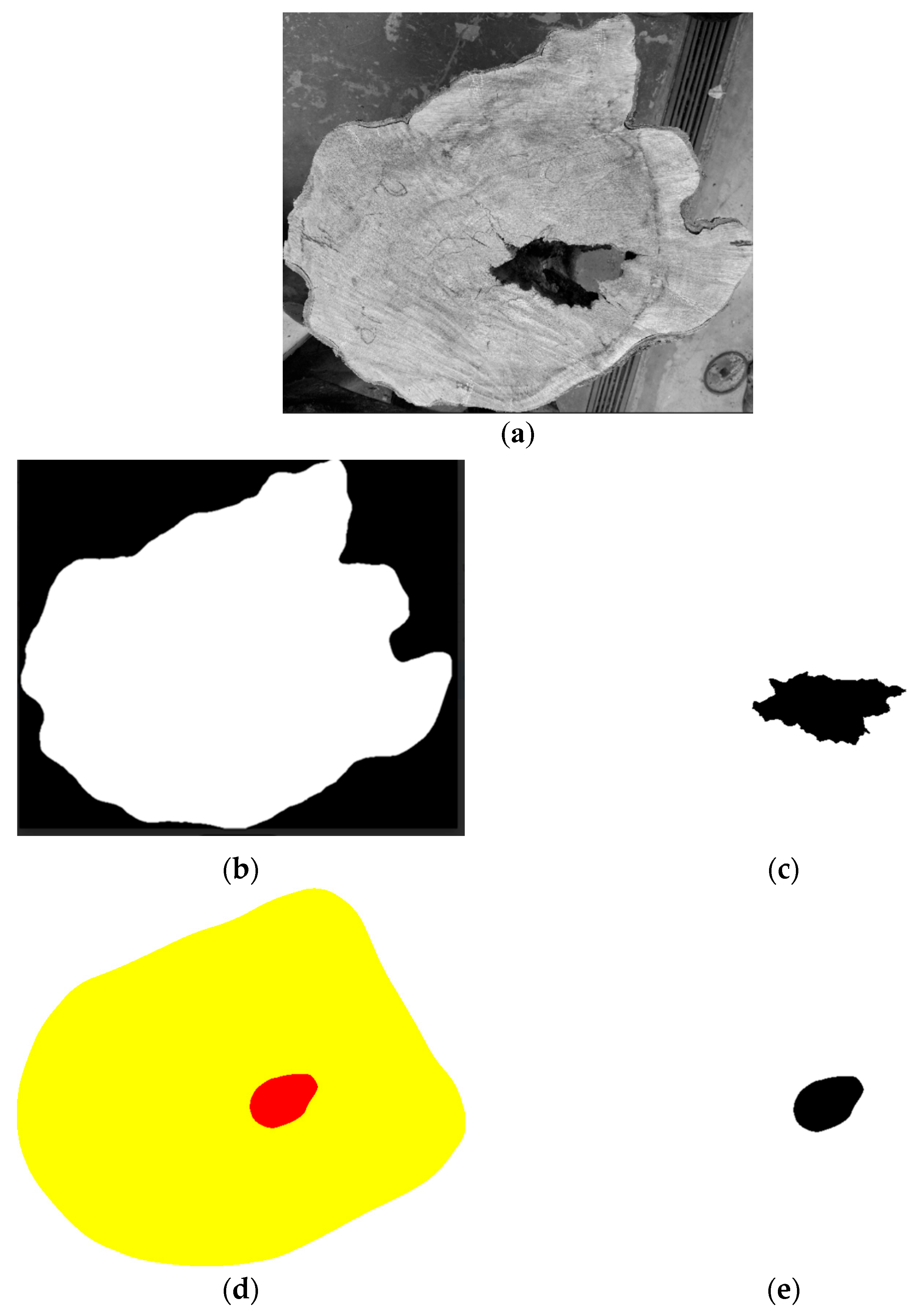 Forests 16 00995 g003