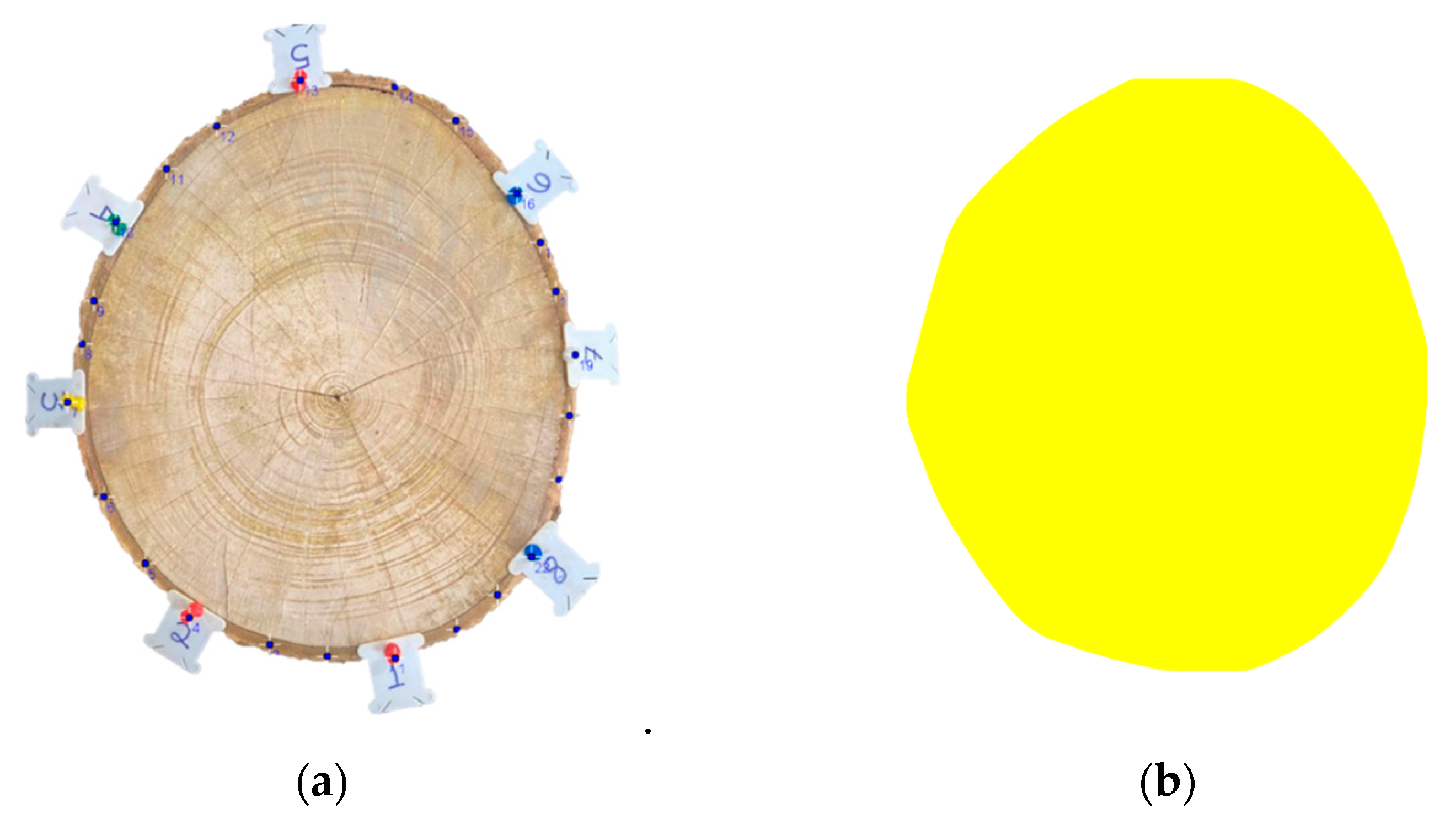 Forests 16 00995 g005