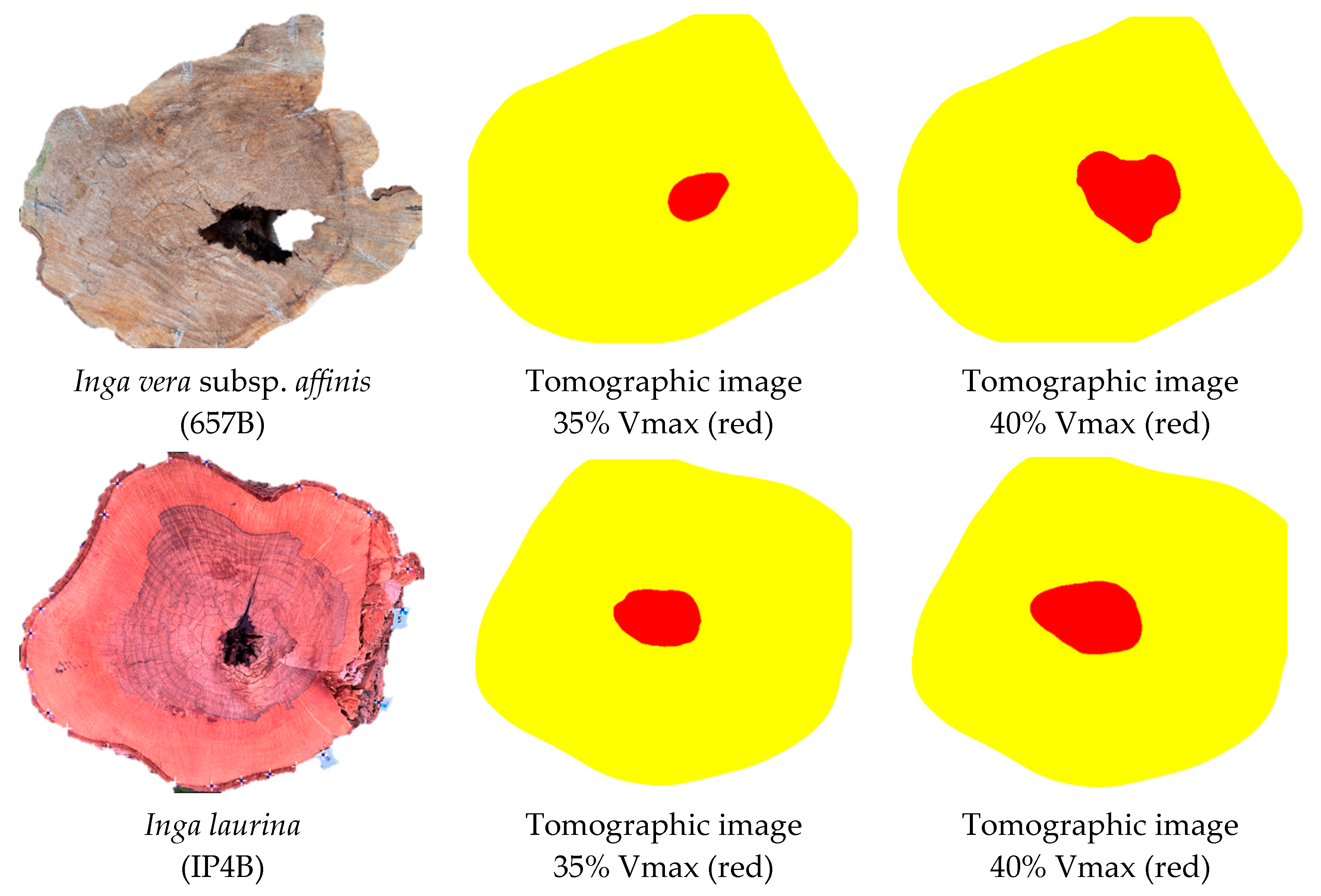 Forests 16 00995 g006
