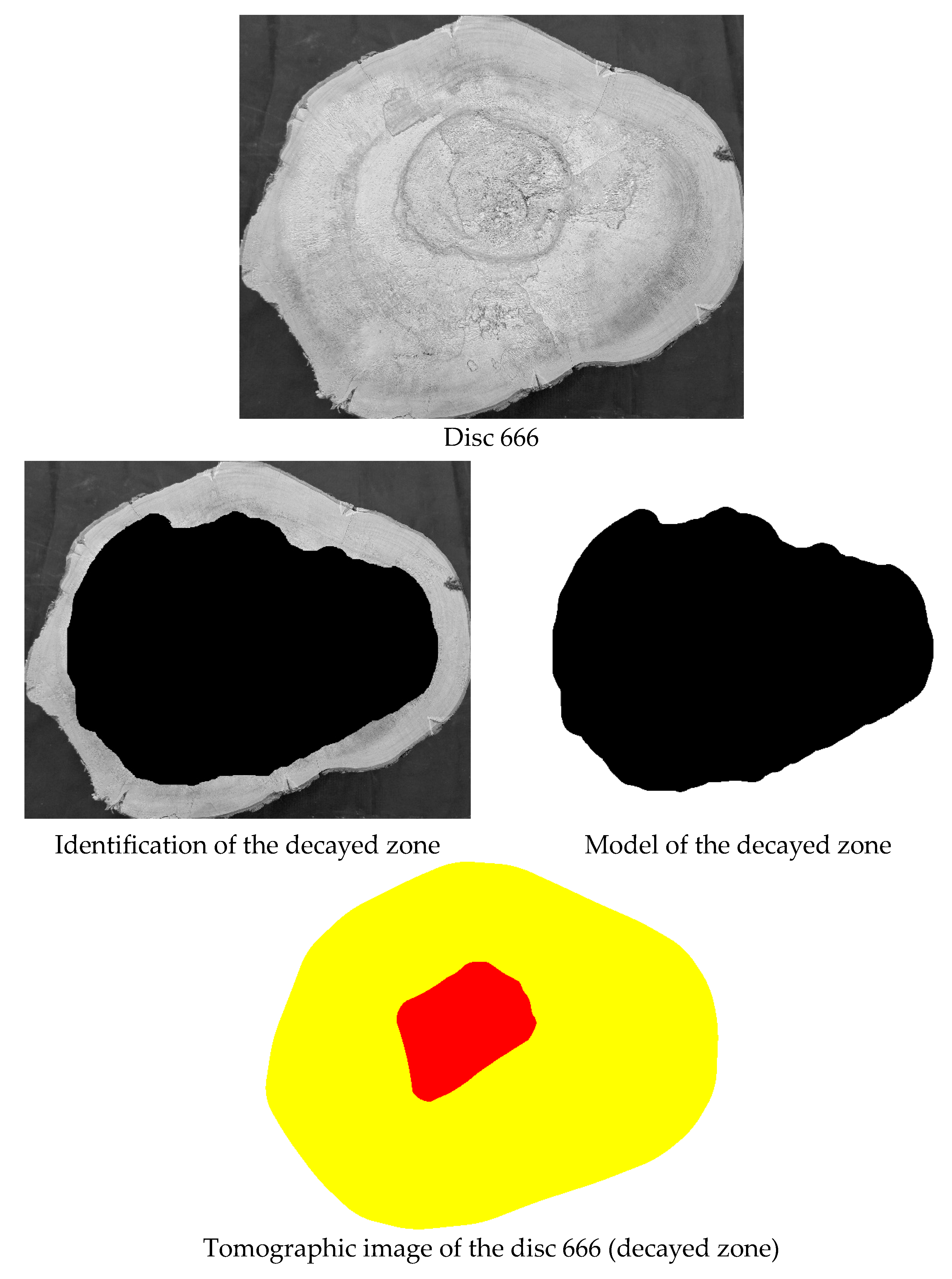 Forests 16 00995 g008