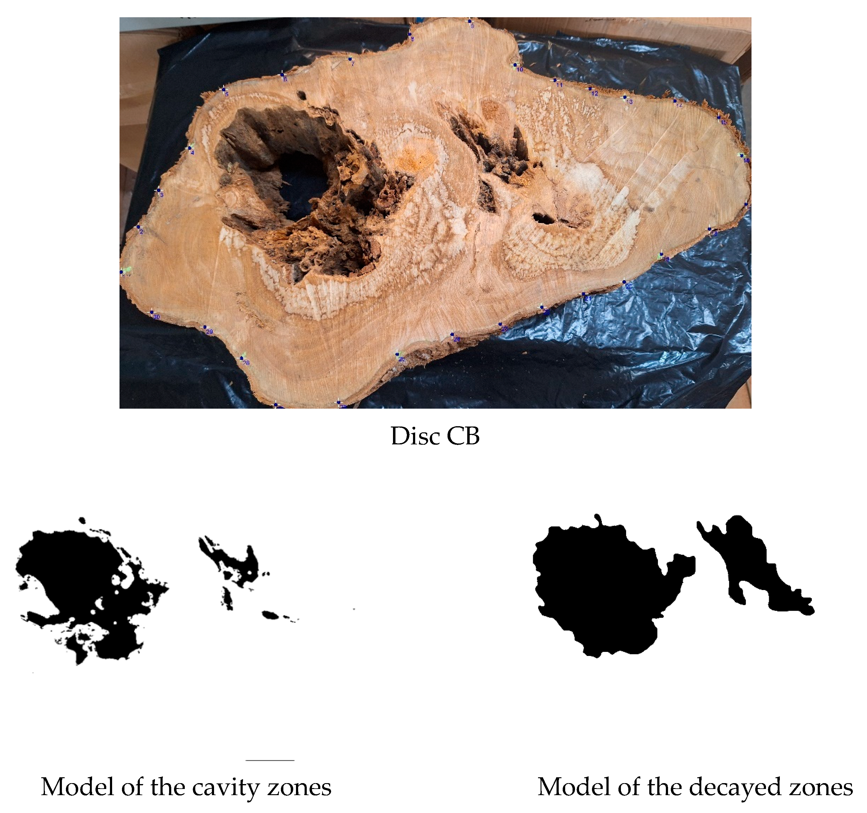 Forests 16 00995 g009a