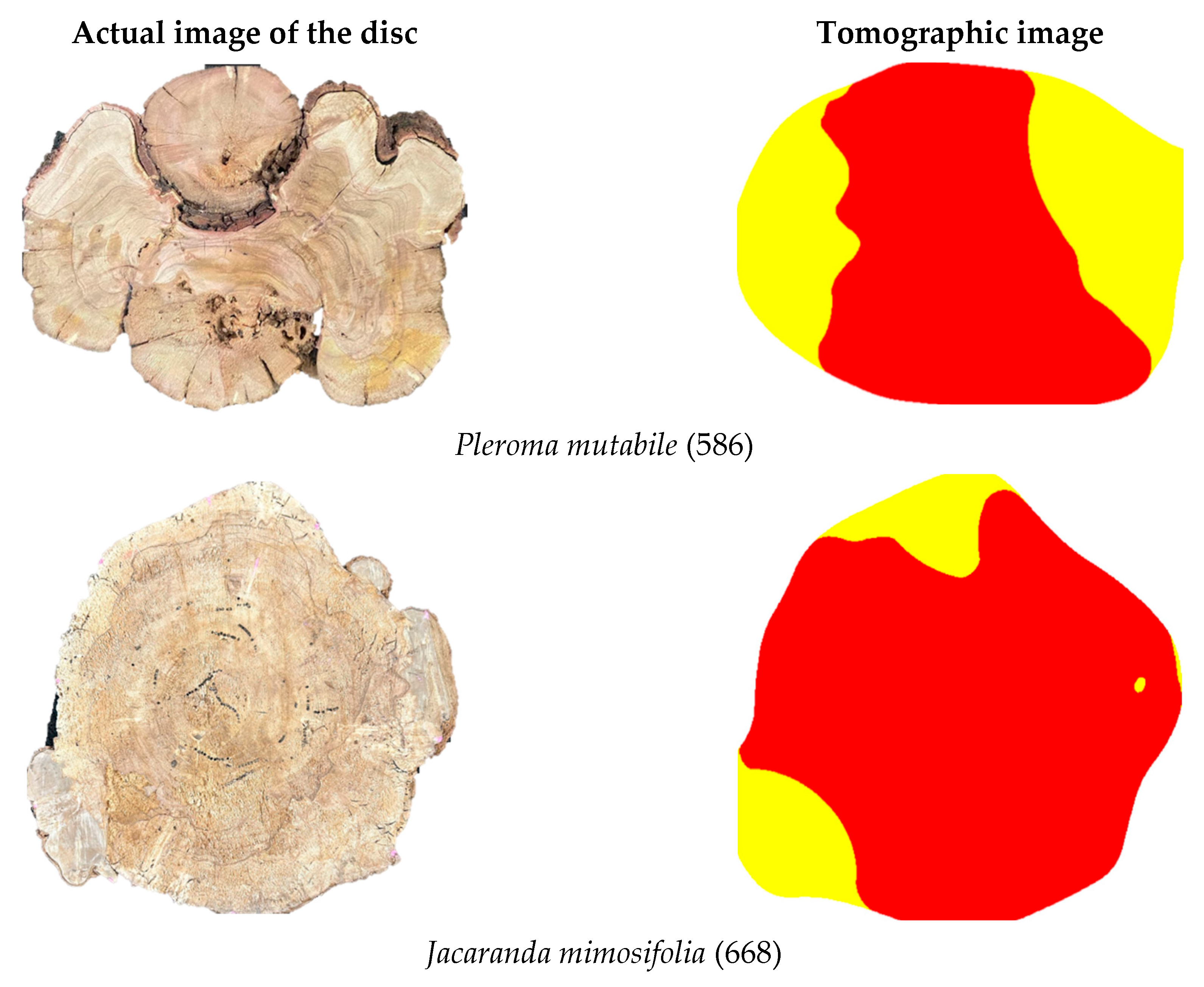 Forests 16 00995 g010a
