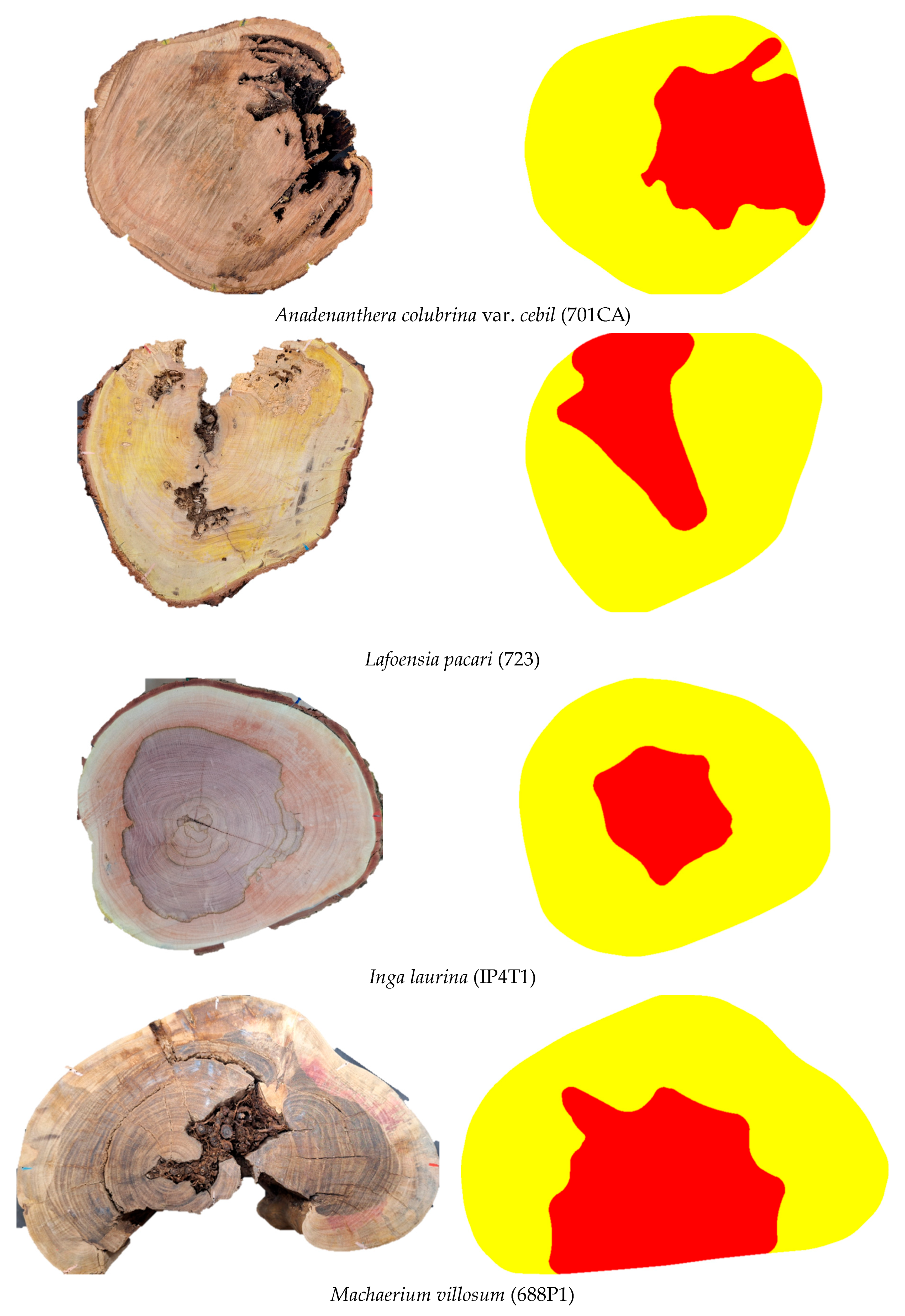 Forests 16 00995 g010b