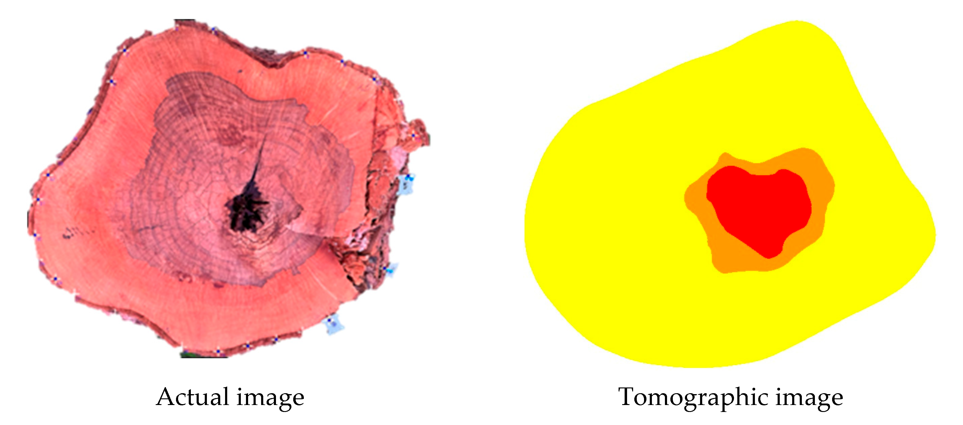 Forests 16 00995 g011a