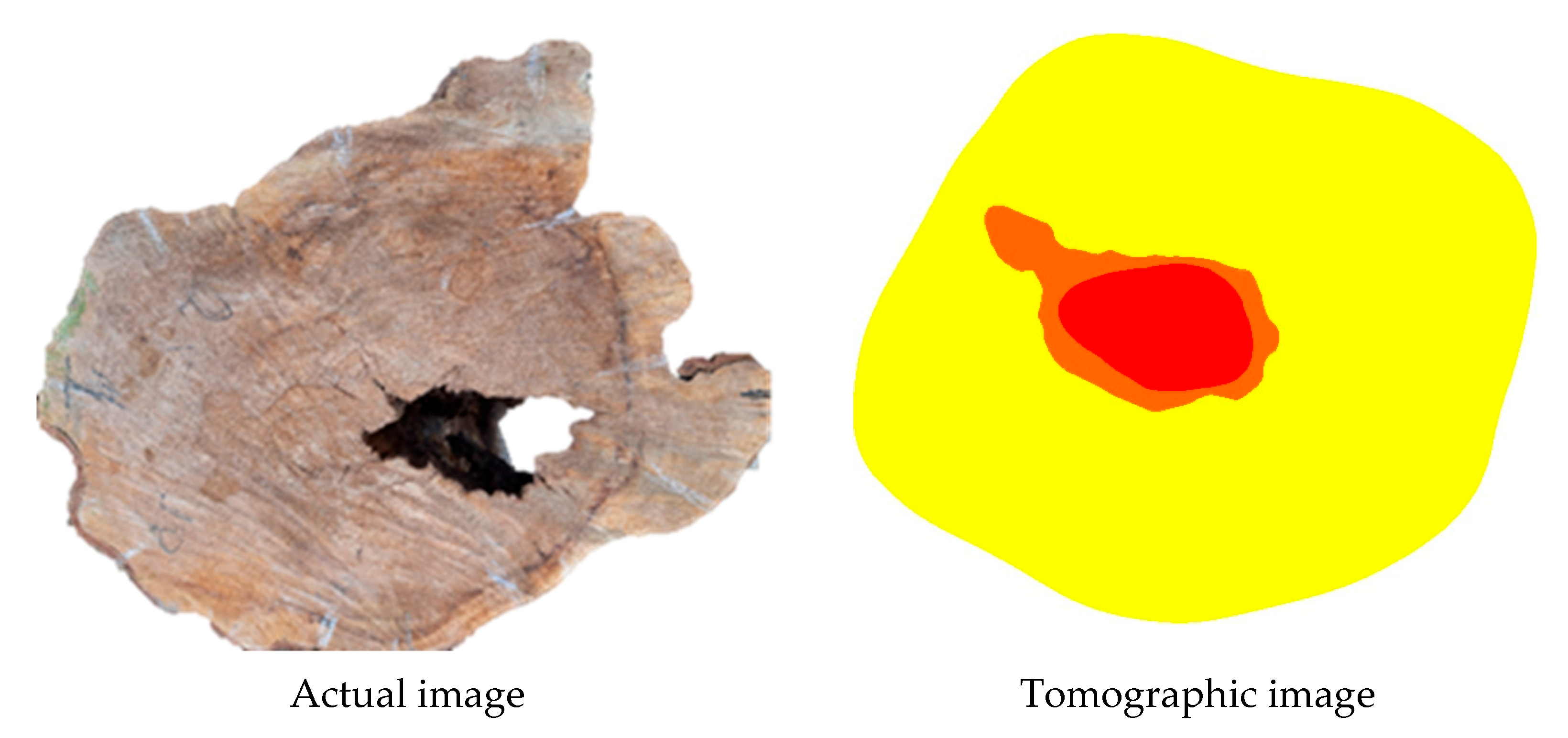 Forests 16 00995 g011b