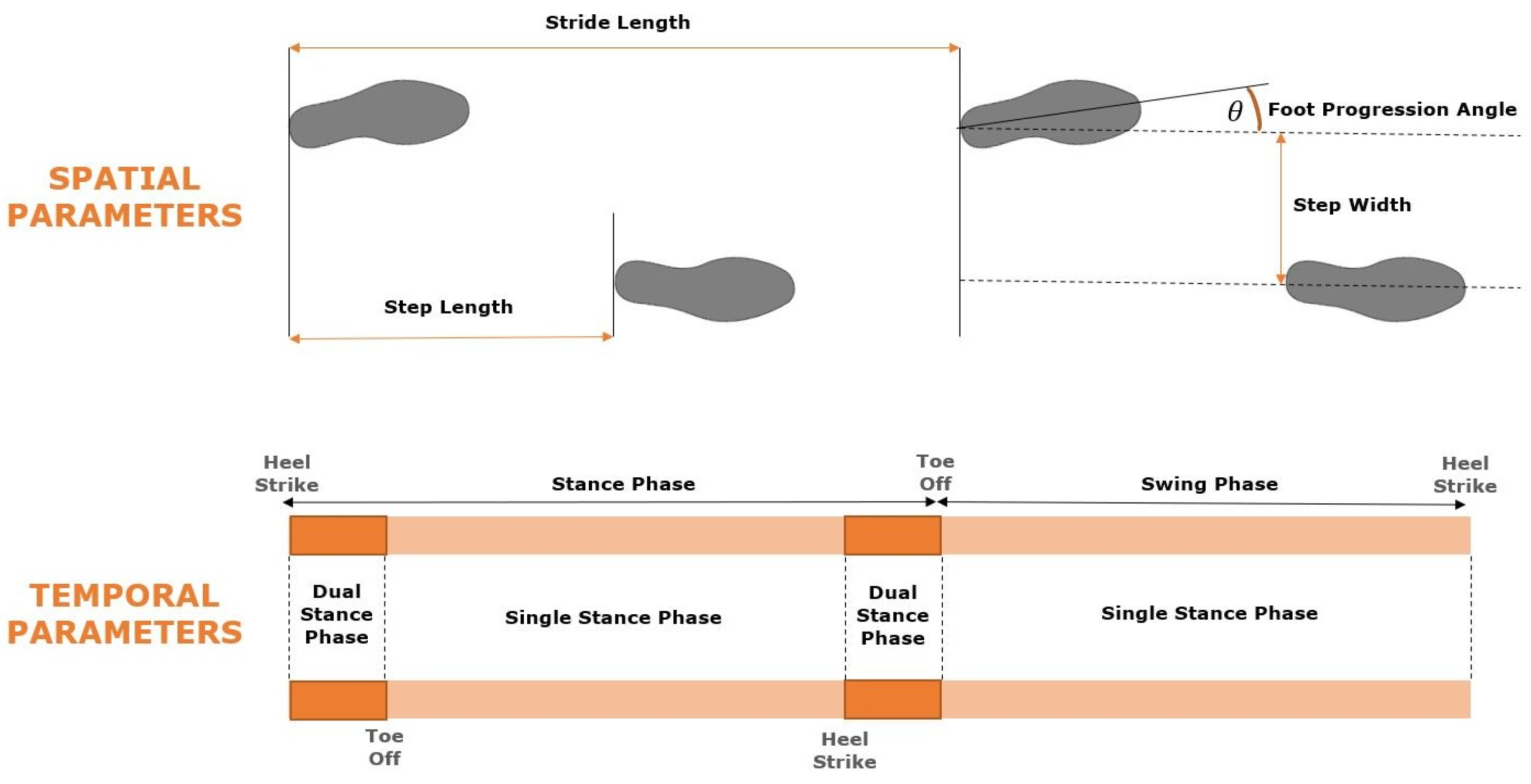 Forests 16 00996 g002