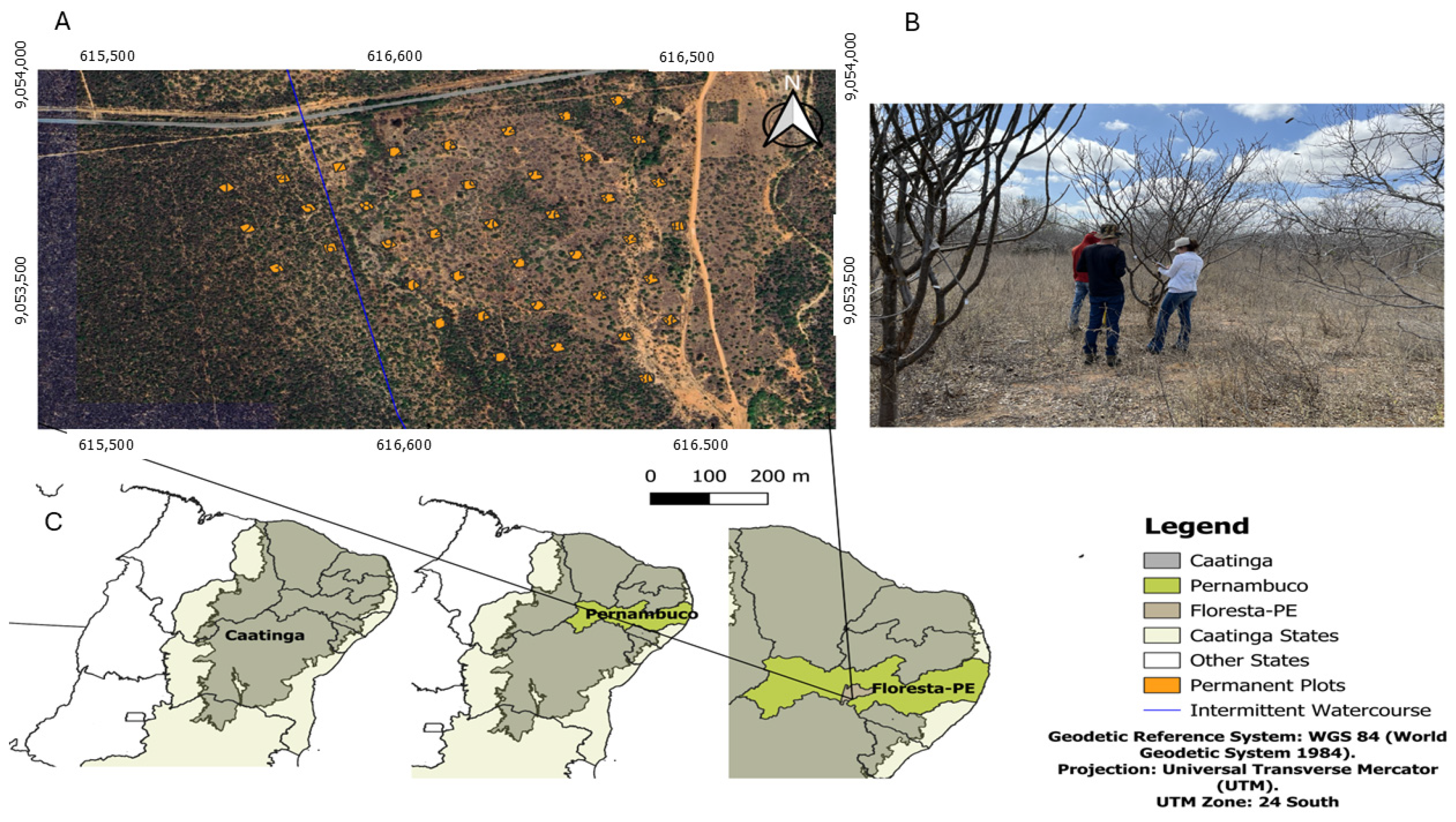 Forests 16 00998 g002