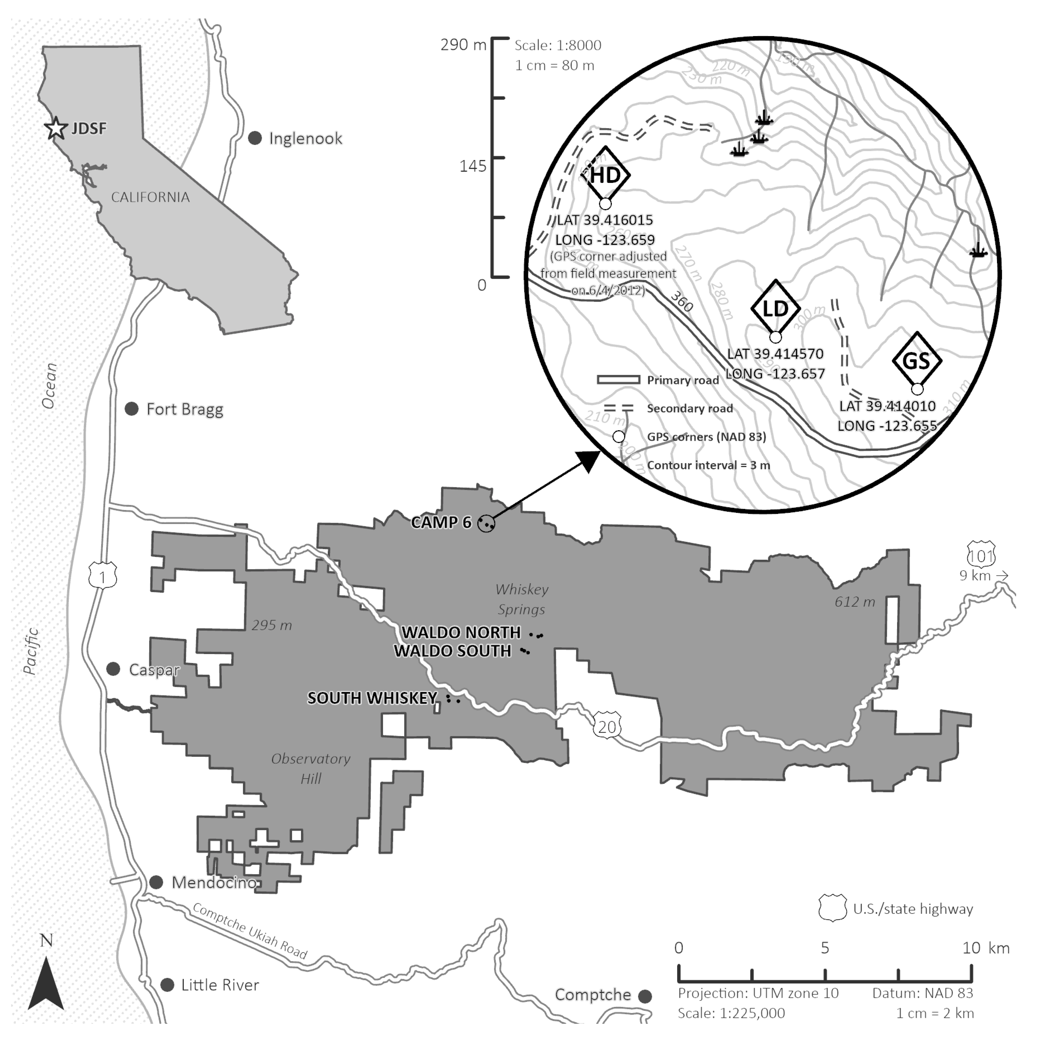 Forests 16 01000 g001