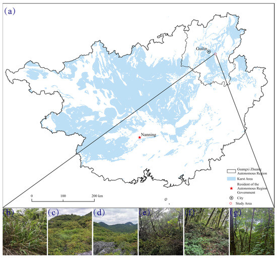 Vegetation Restoration Significantly Increased Soil Organic