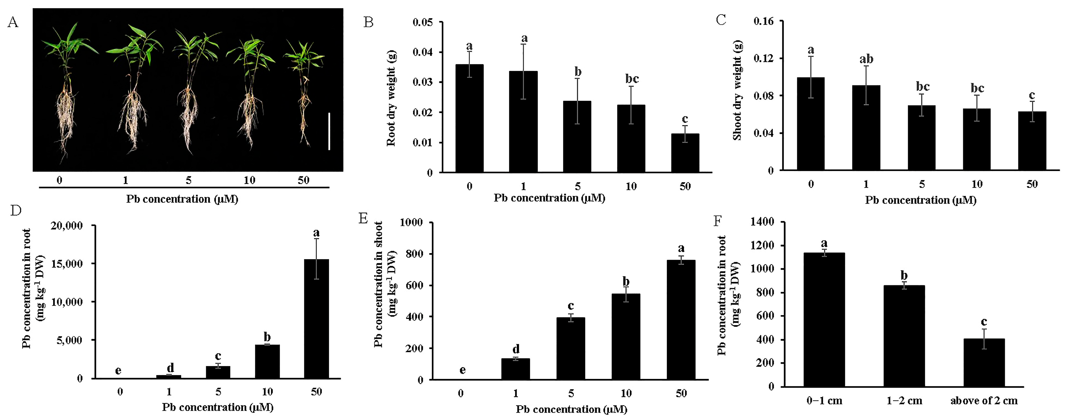 Forests 16 01007 g001