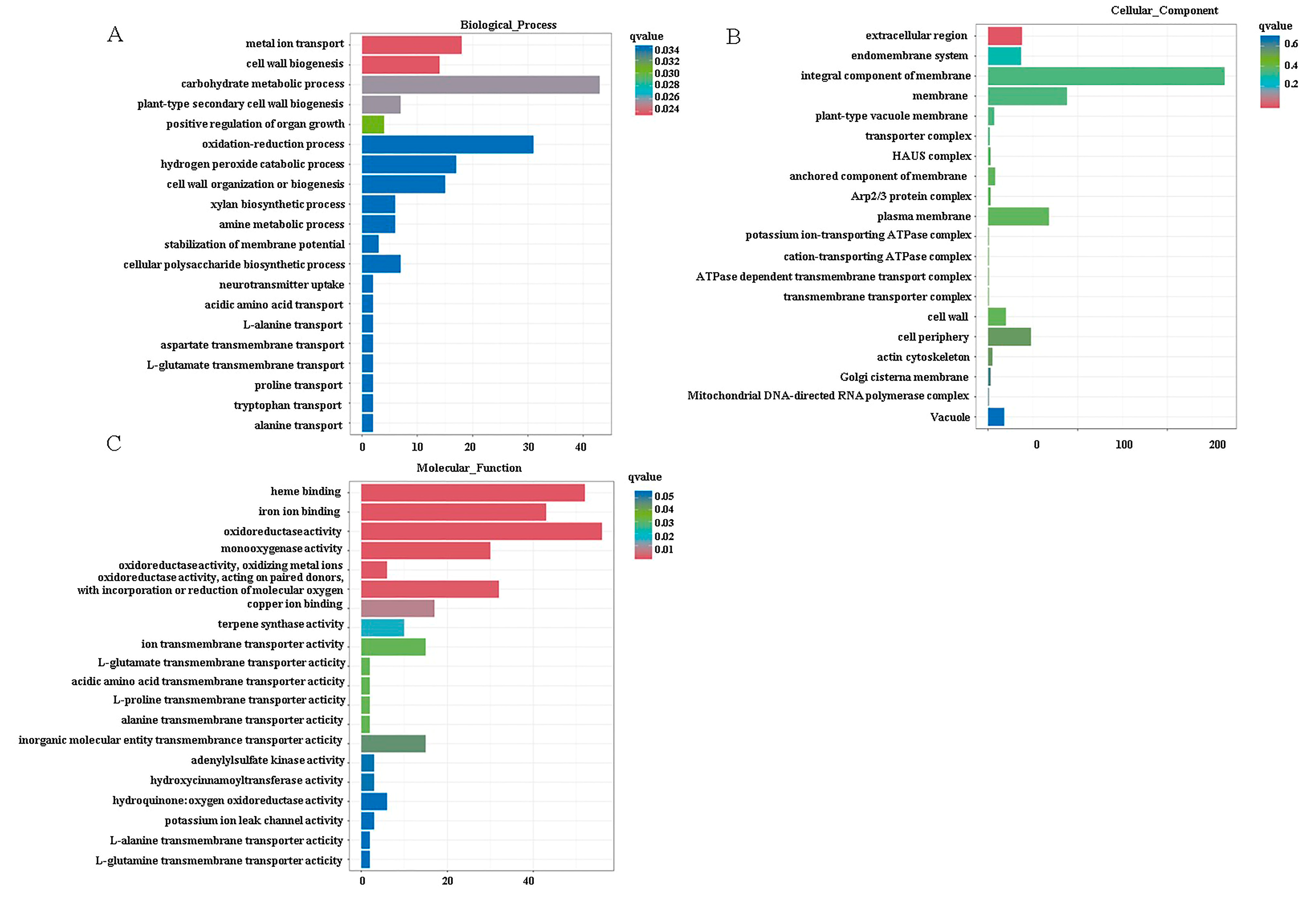 Forests 16 01007 g007