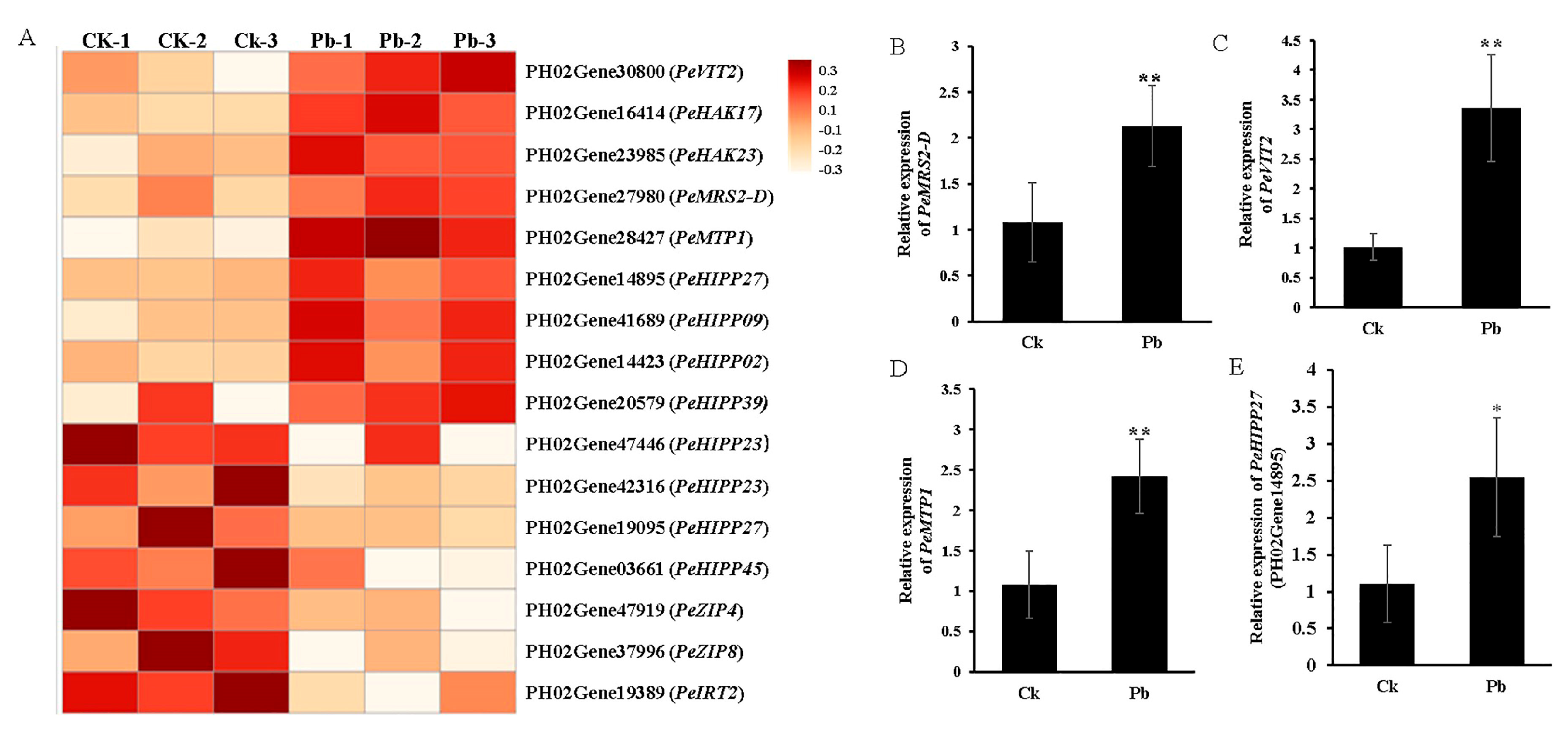 Forests 16 01007 g008