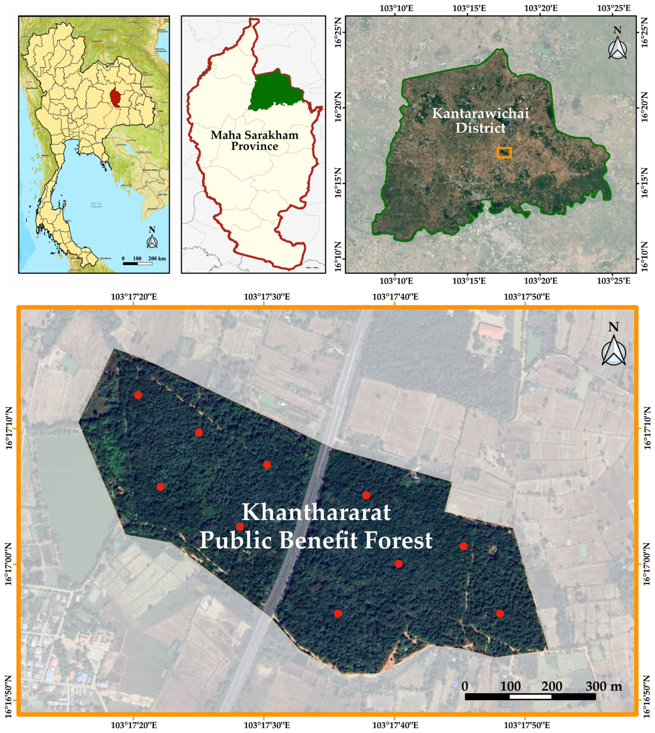 Forests 16 01012 g001