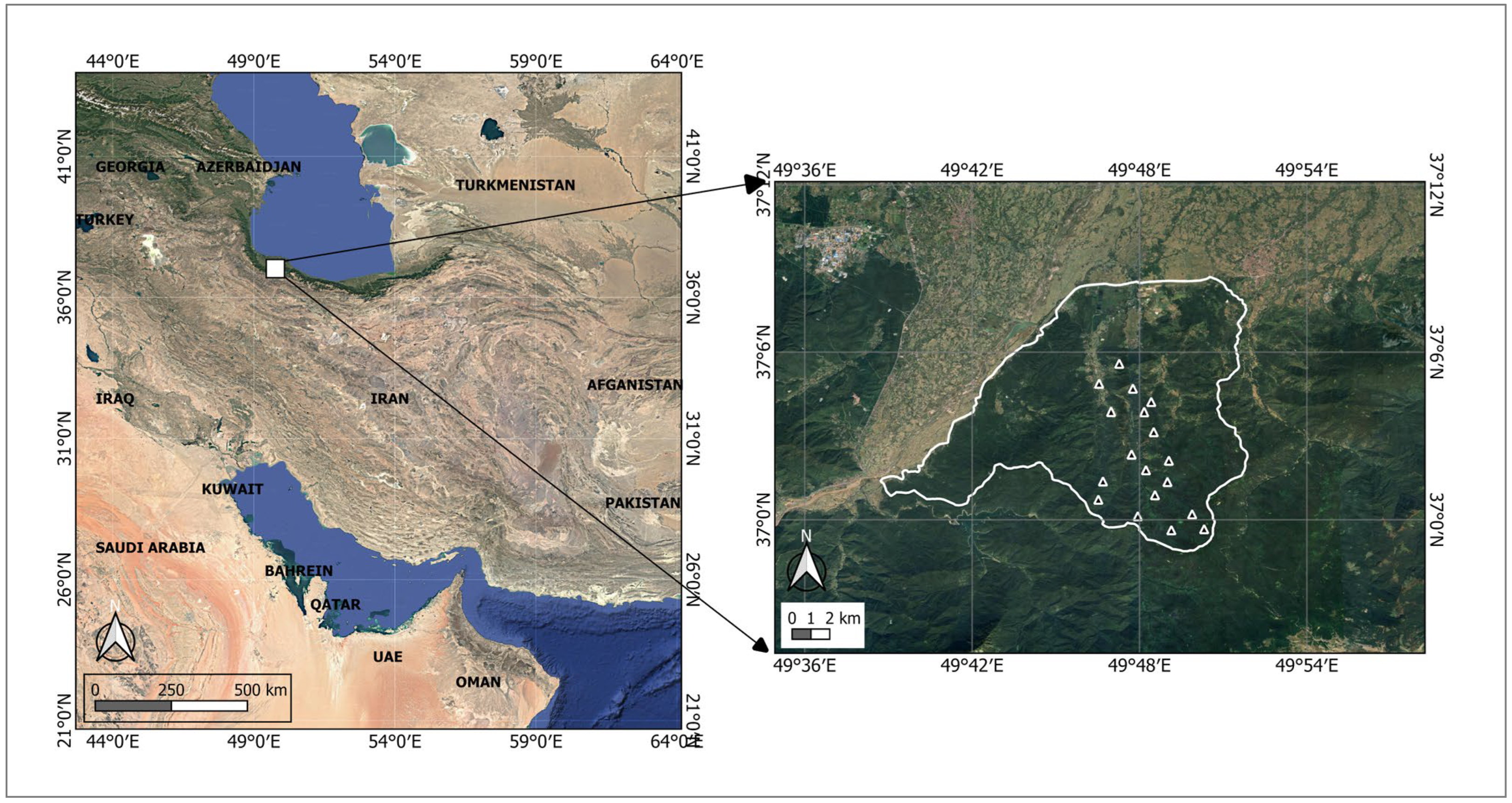 Forests 16 01013 g001