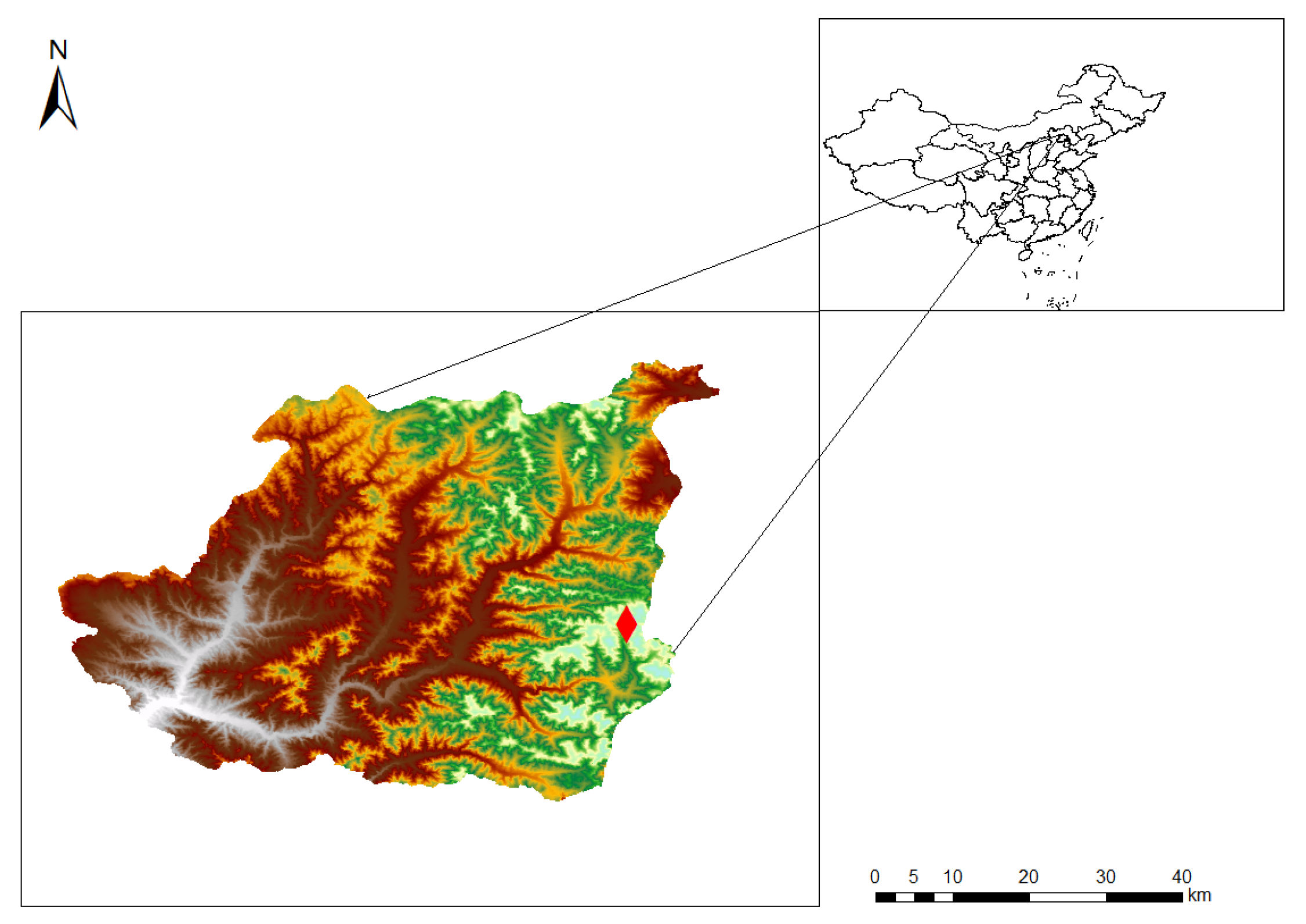Forests 16 01016 g002