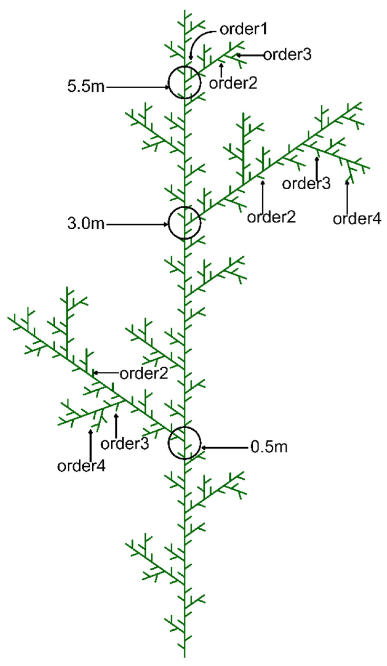 Forests 16 01016 g003