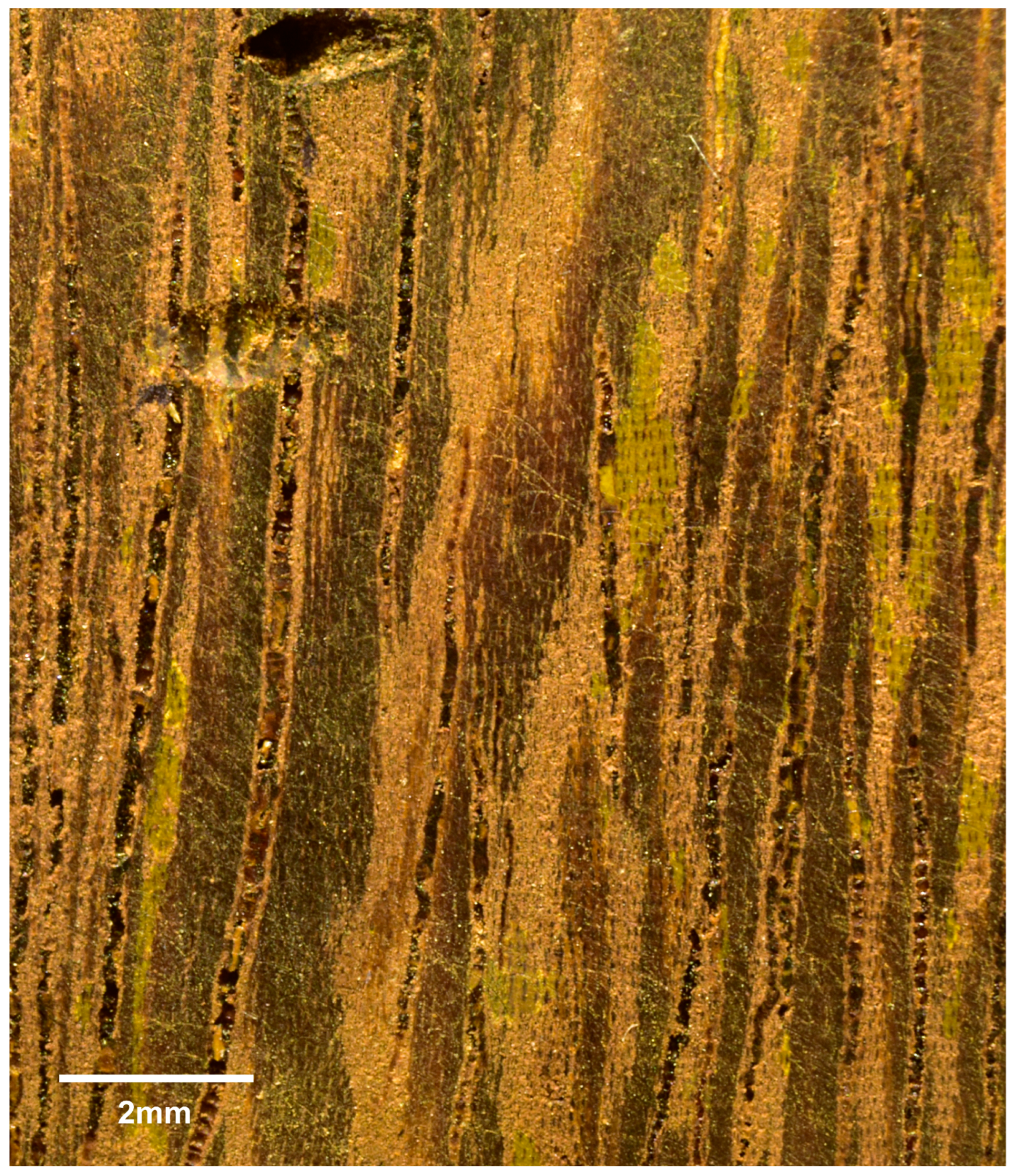 Forests 16 01018 g013 Forests 16 01018 g013