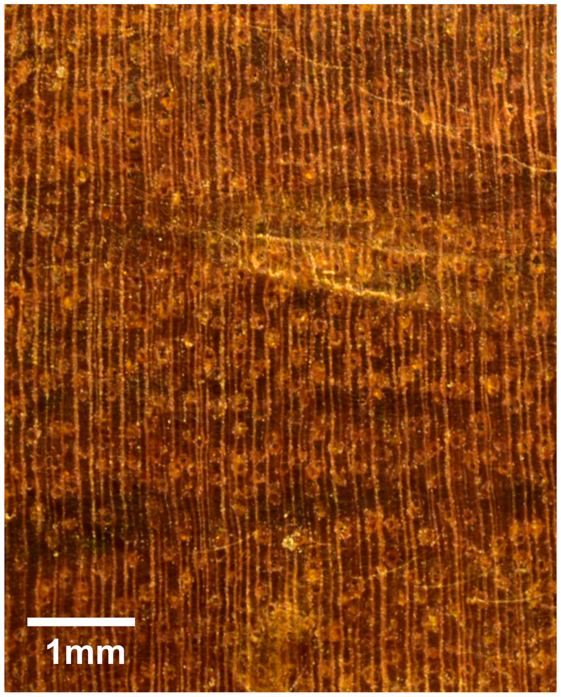 Forests 16 01018 g023 Forests 16 01018 g023