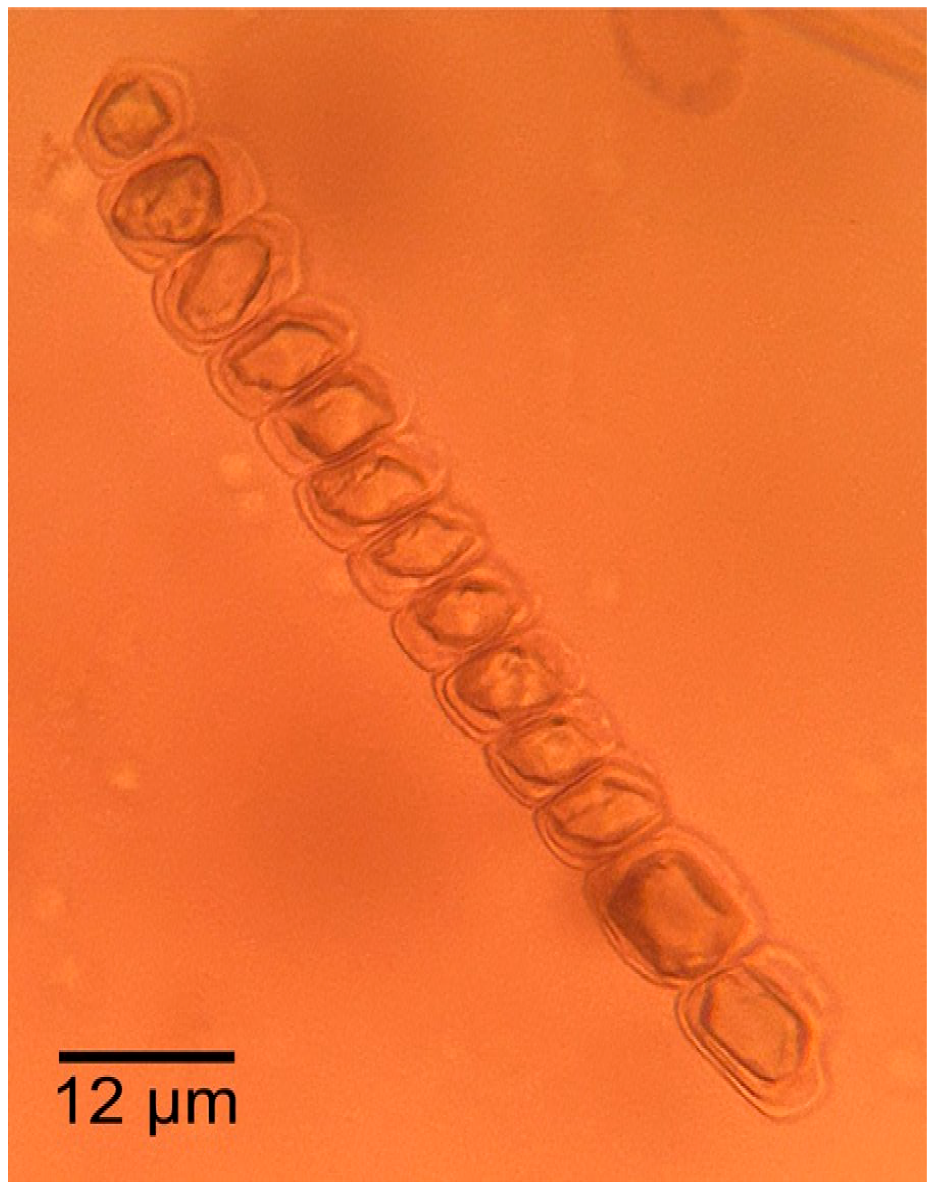 Forests 16 01018 g027 Forests 16 01018 g027