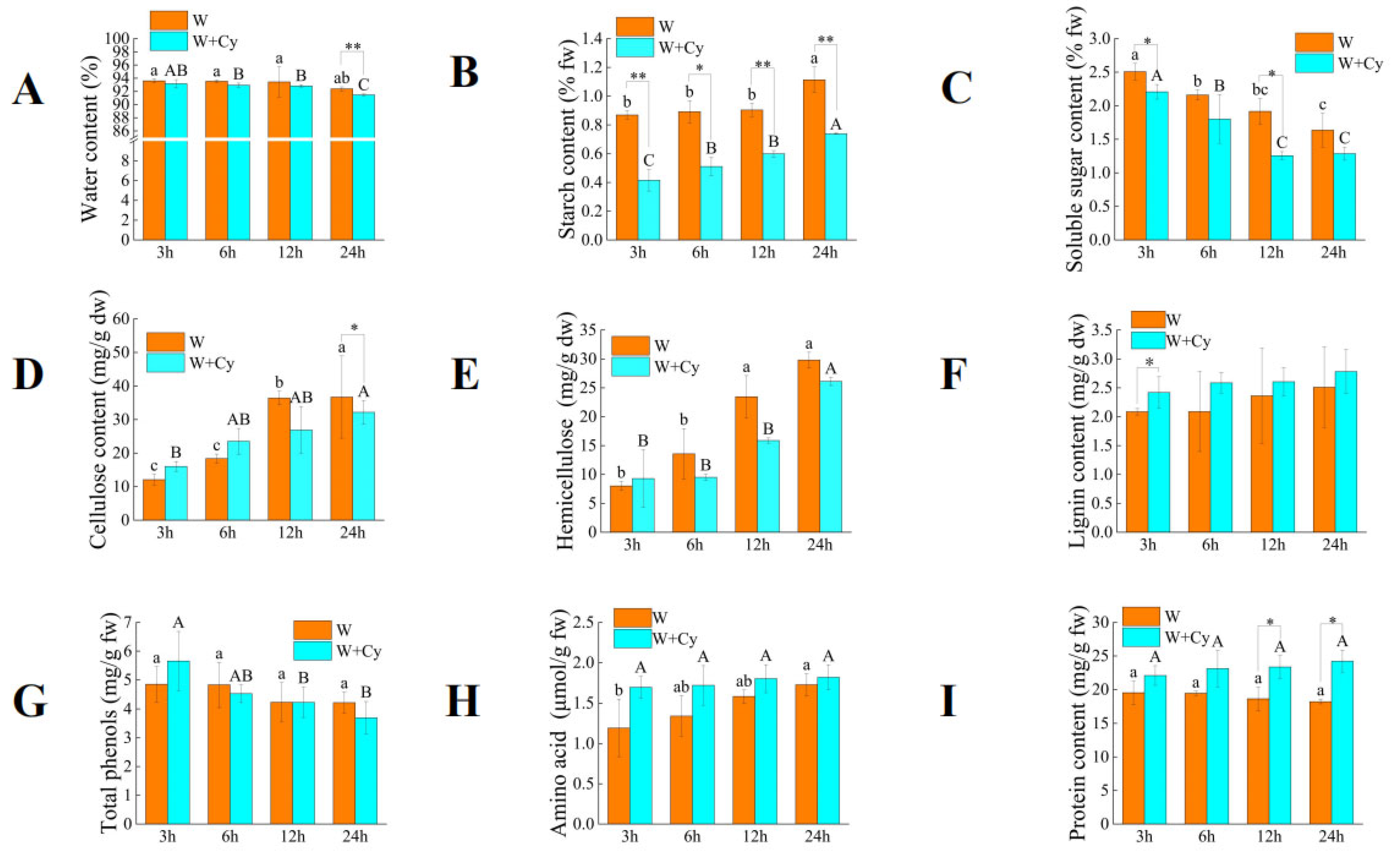 Forests 16 01020 g001