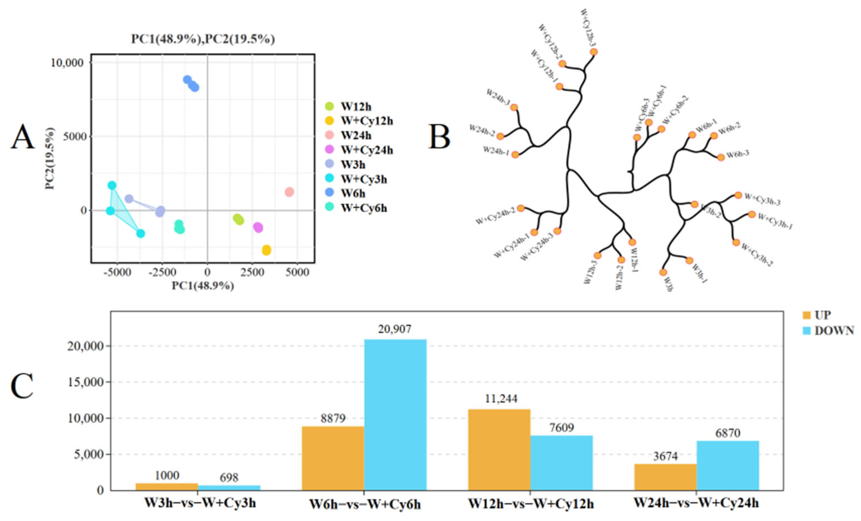 Forests 16 01020 g002