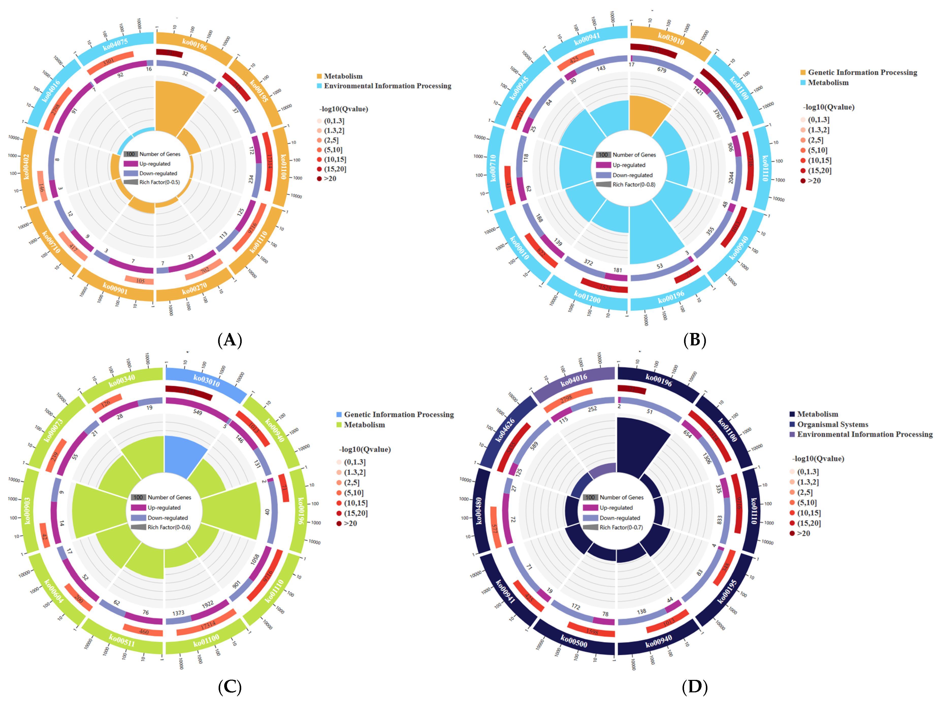 Forests 16 01020 g005