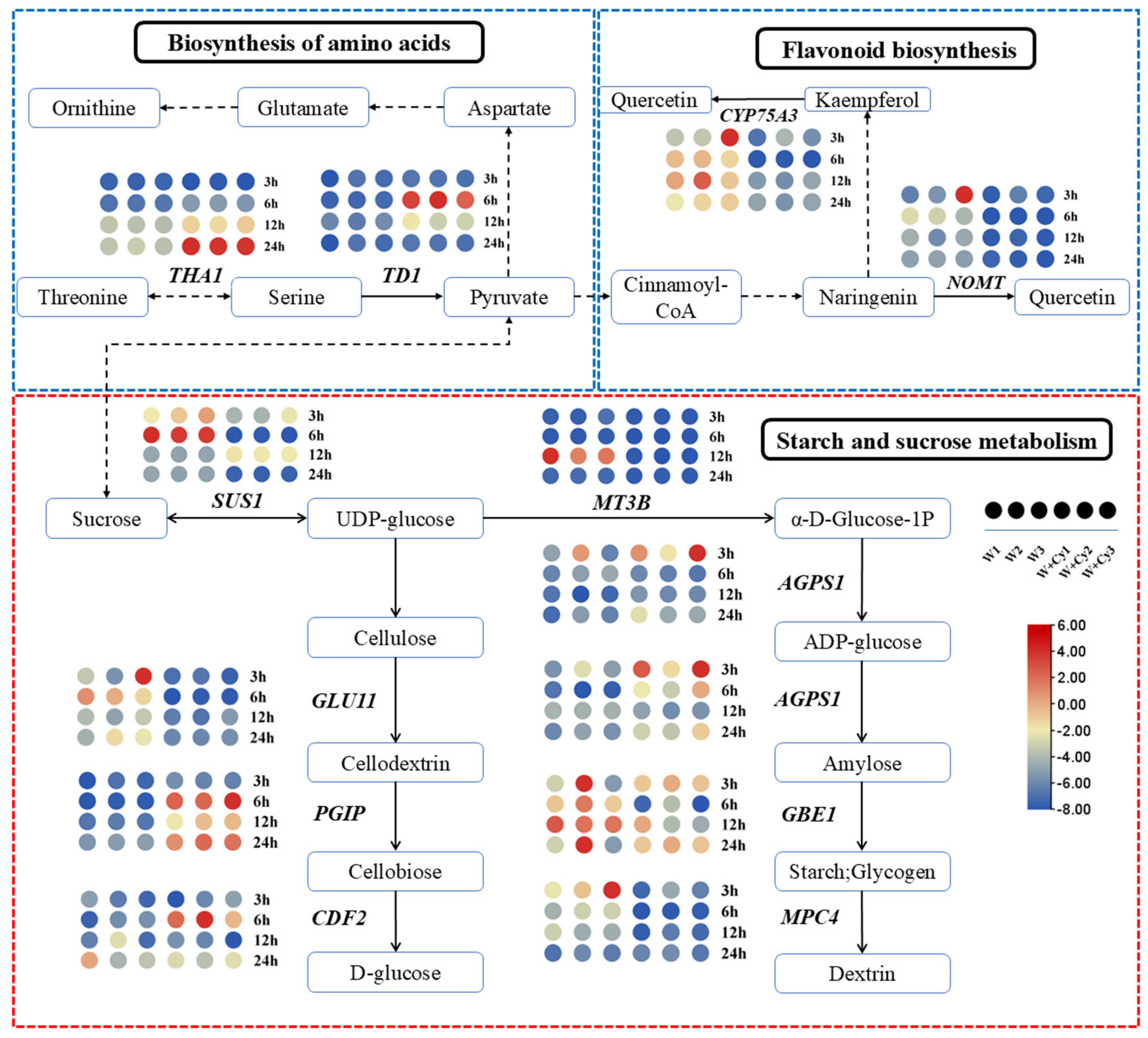 Forests 16 01020 g008