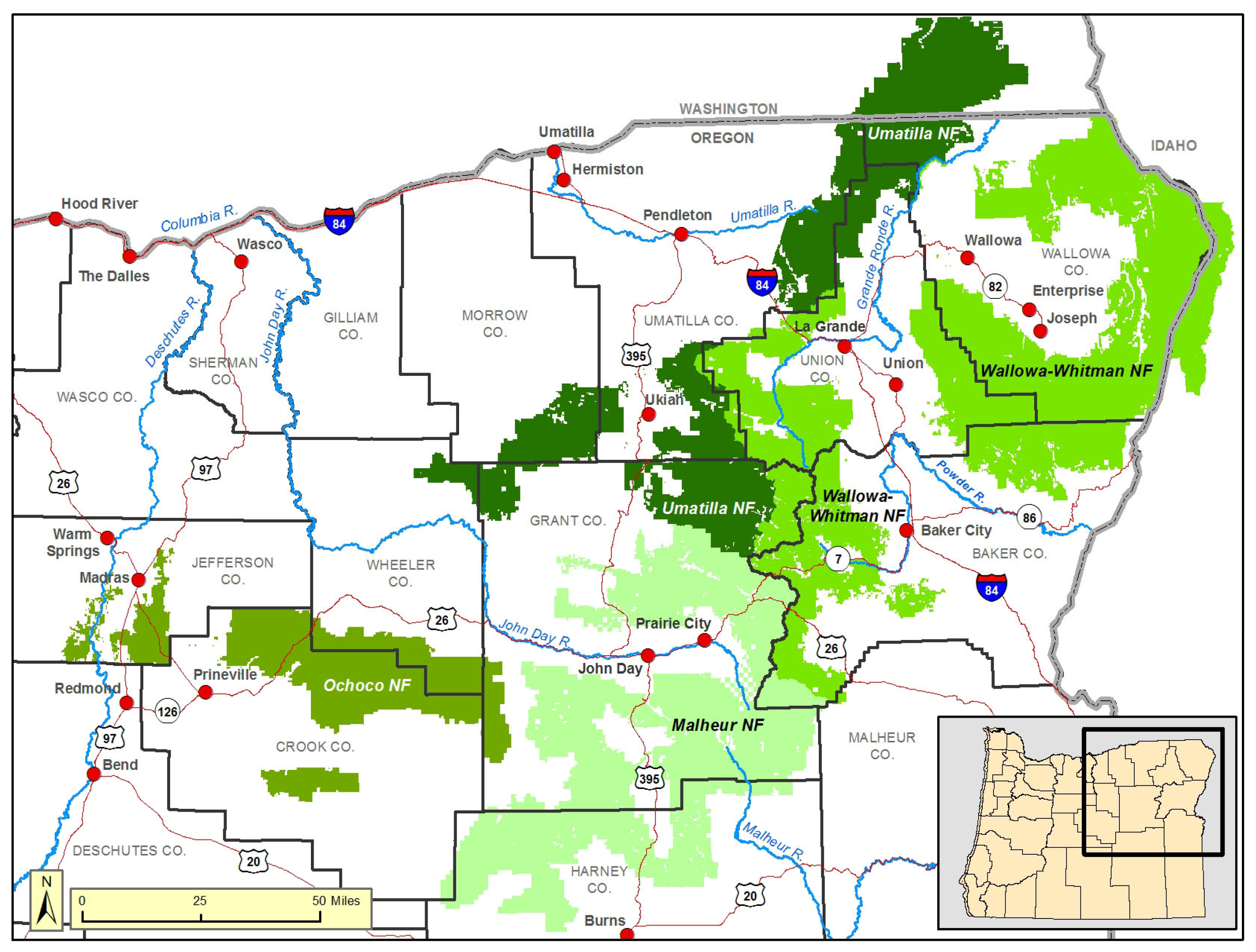 Forests 16 01022 g001