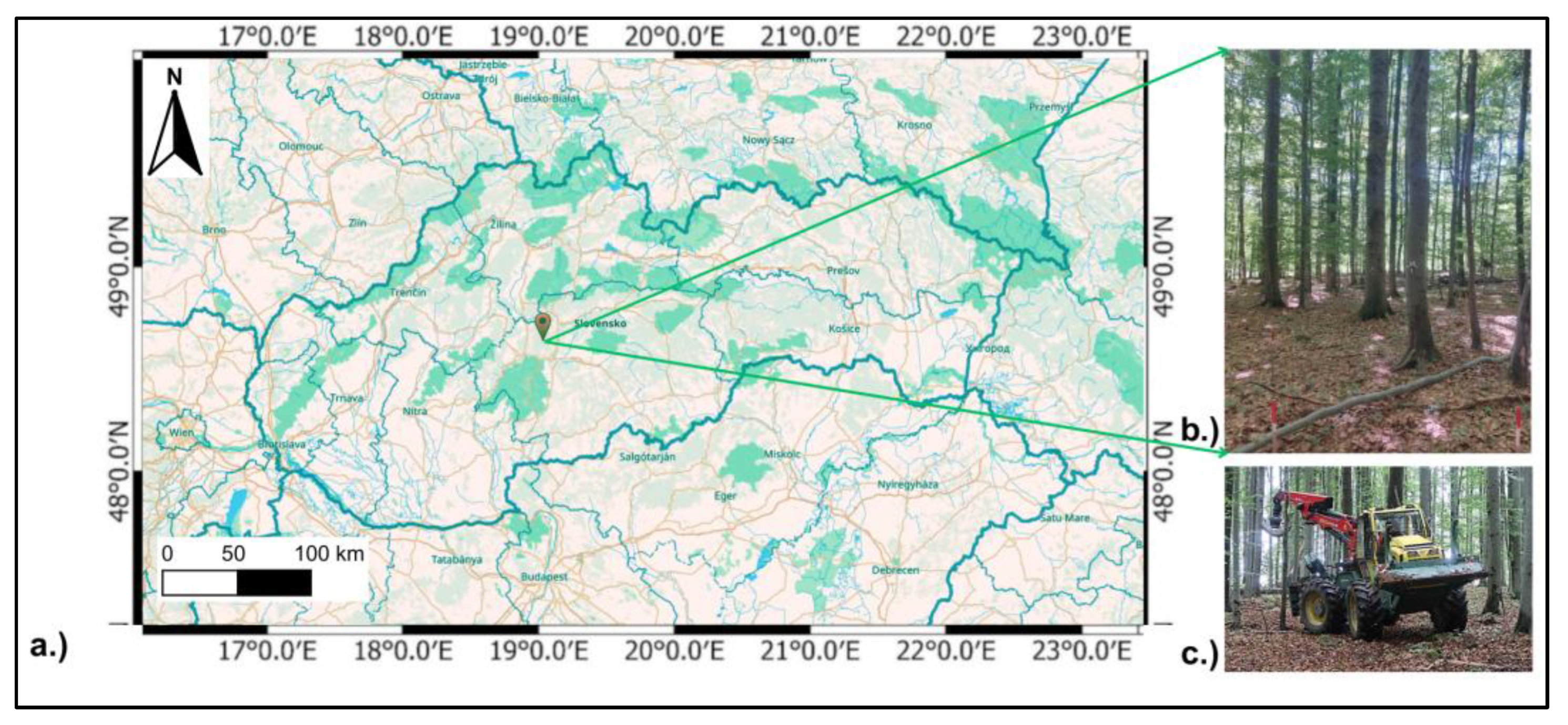 Forests 16 01025 g001