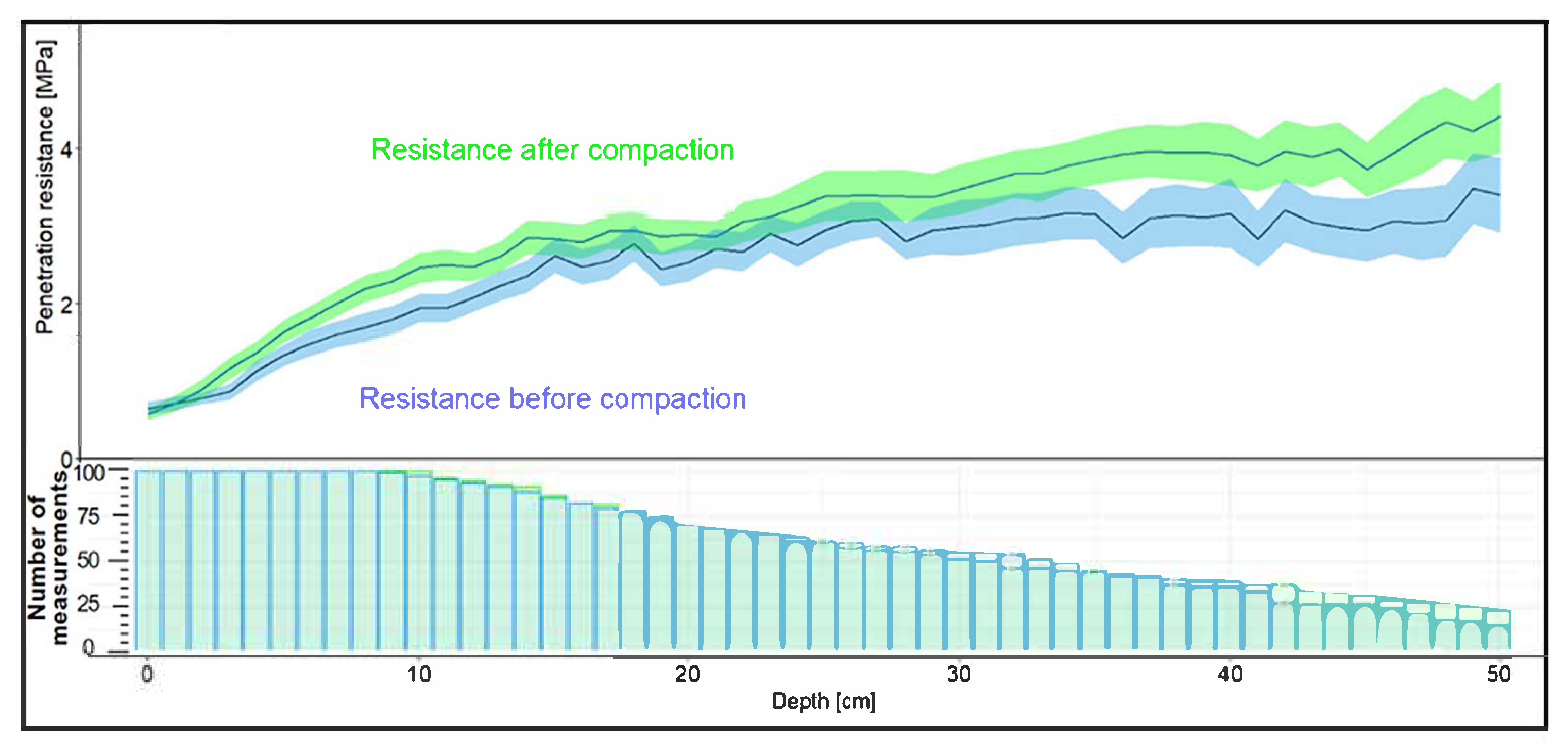 Forests 16 01025 g004
