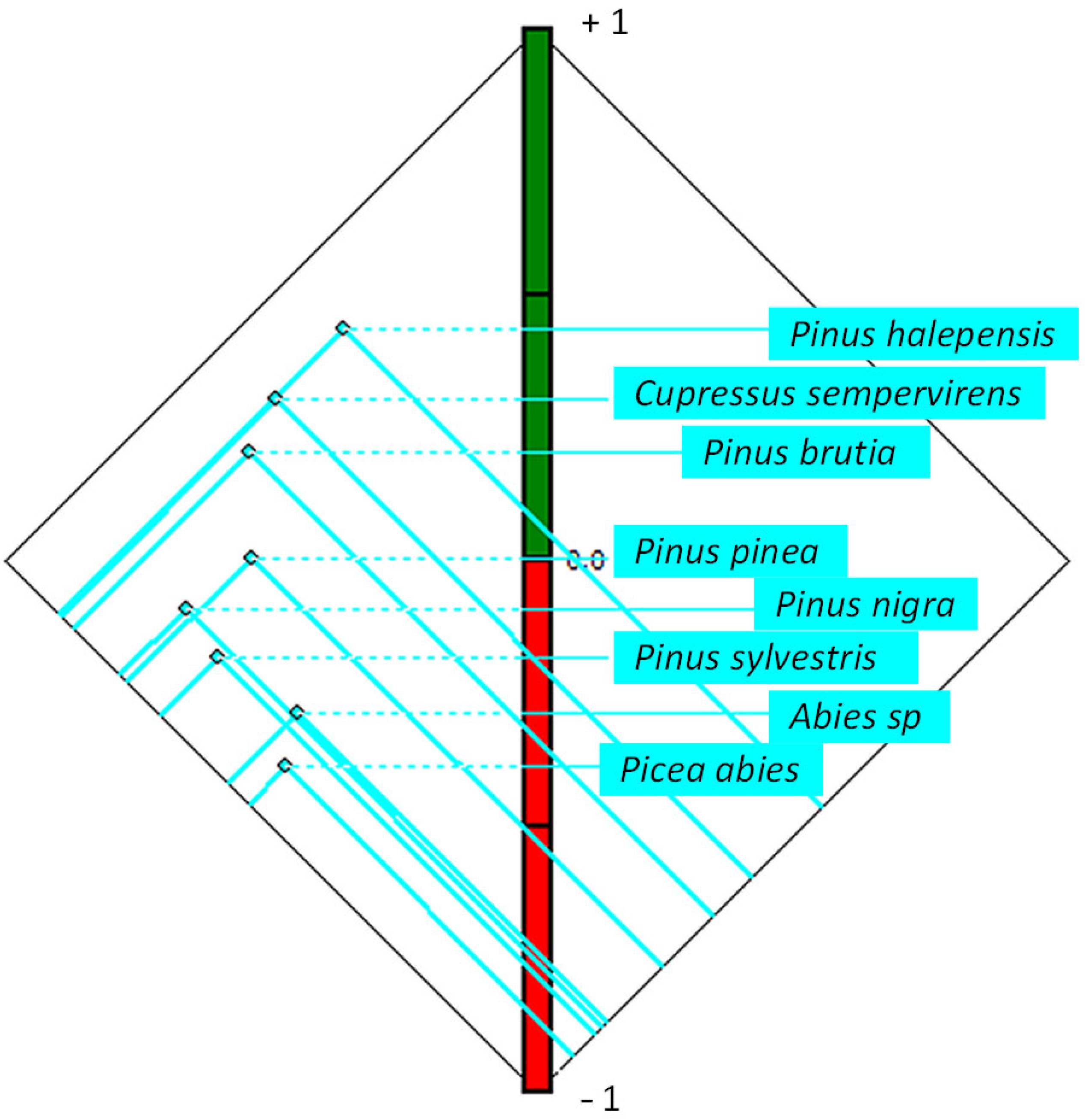 Forests 16 01028 g003