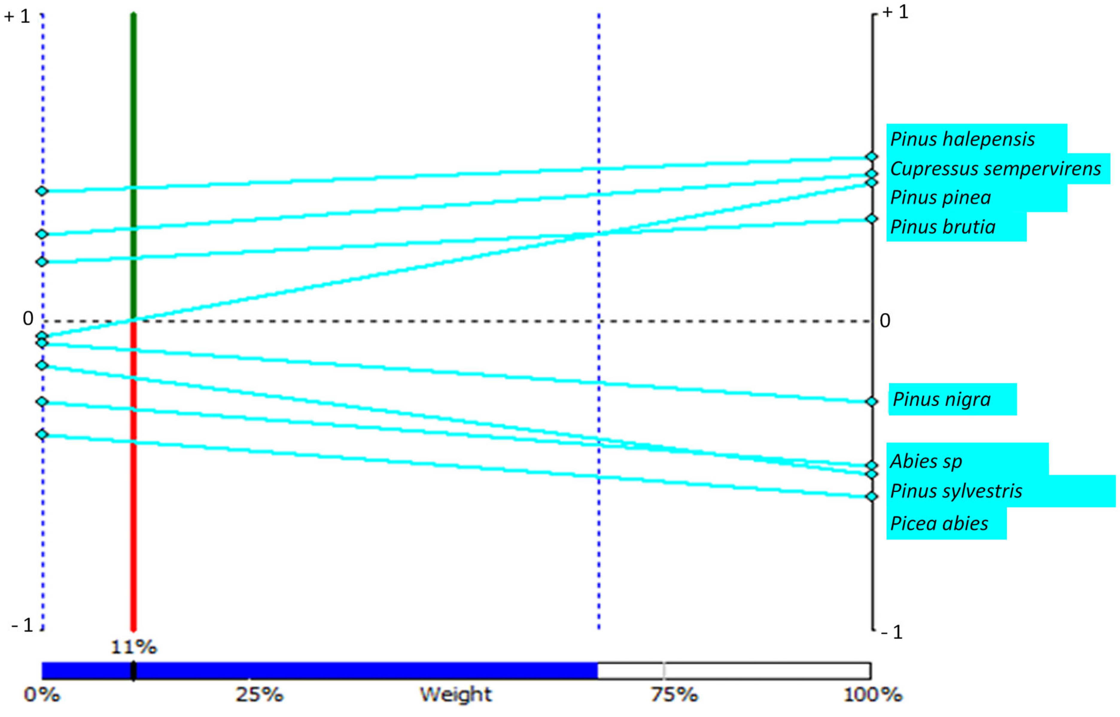 Forests 16 01028 g004