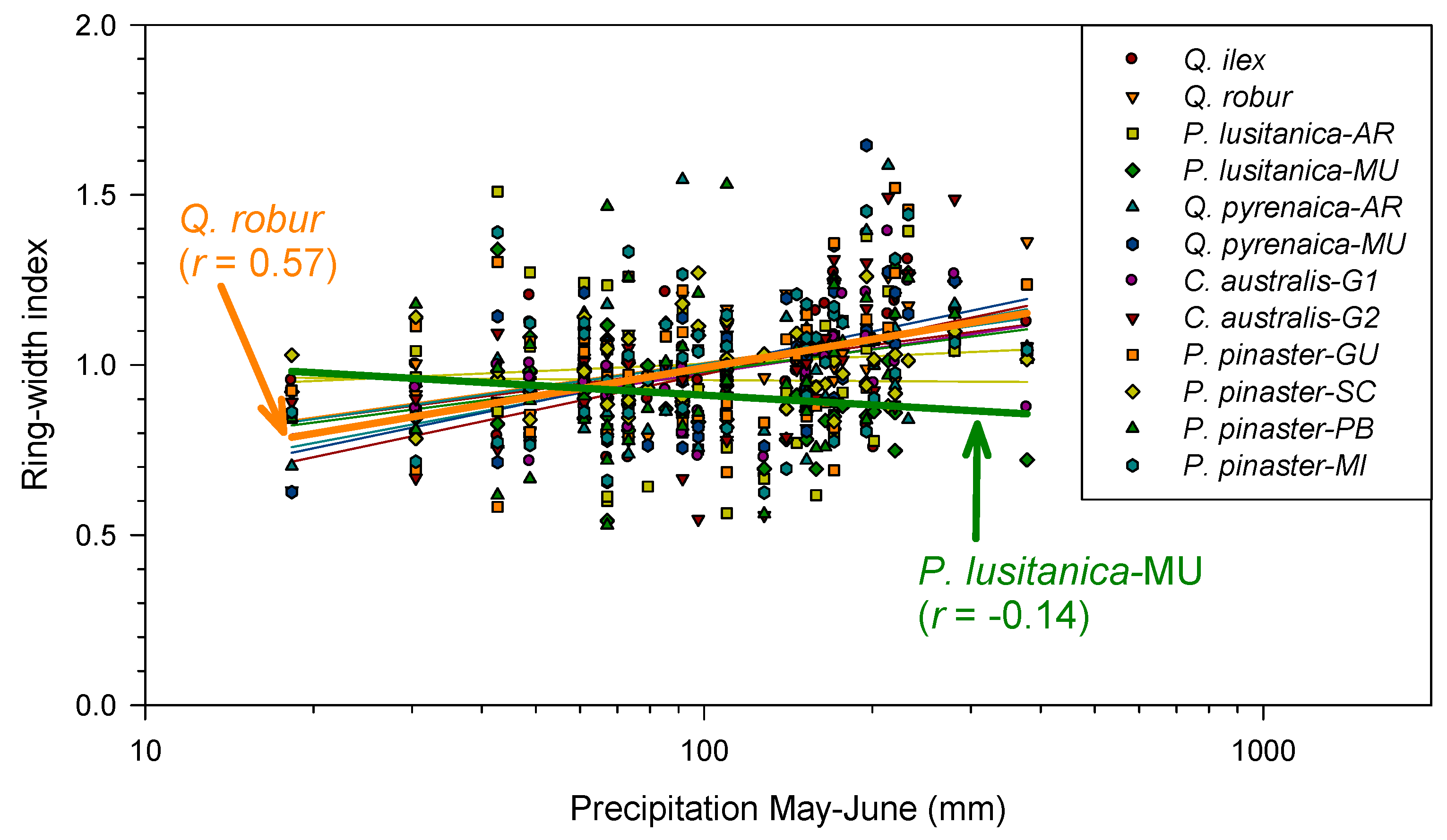 Forests 16 01029 g006