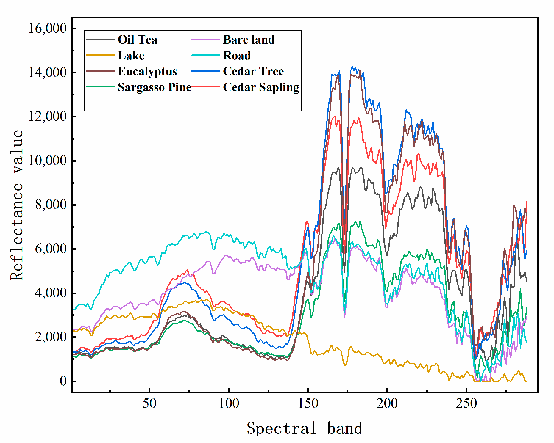 Forests 16 01032 g002