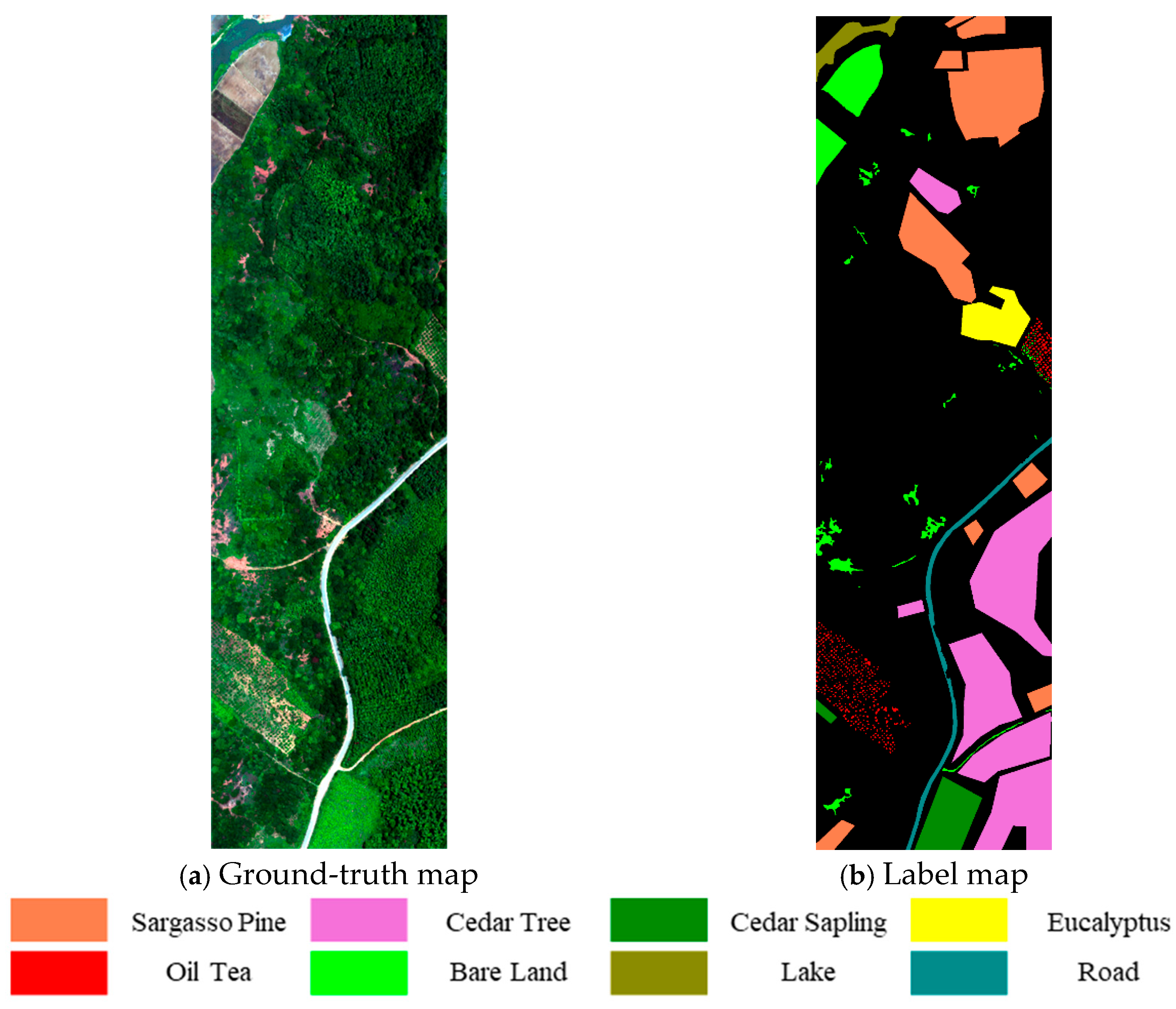 Forests 16 01032 g003