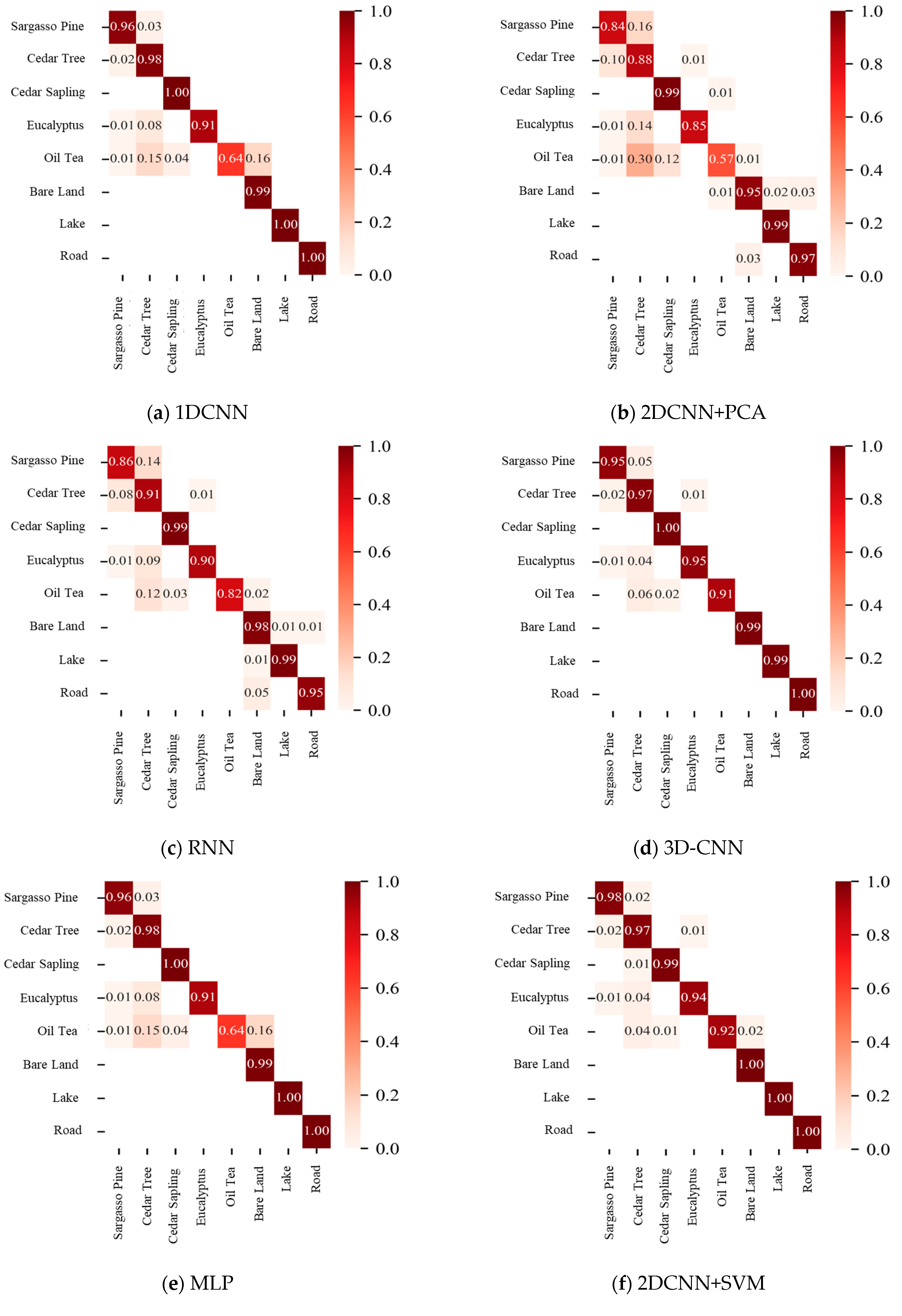 Forests 16 01032 g009a