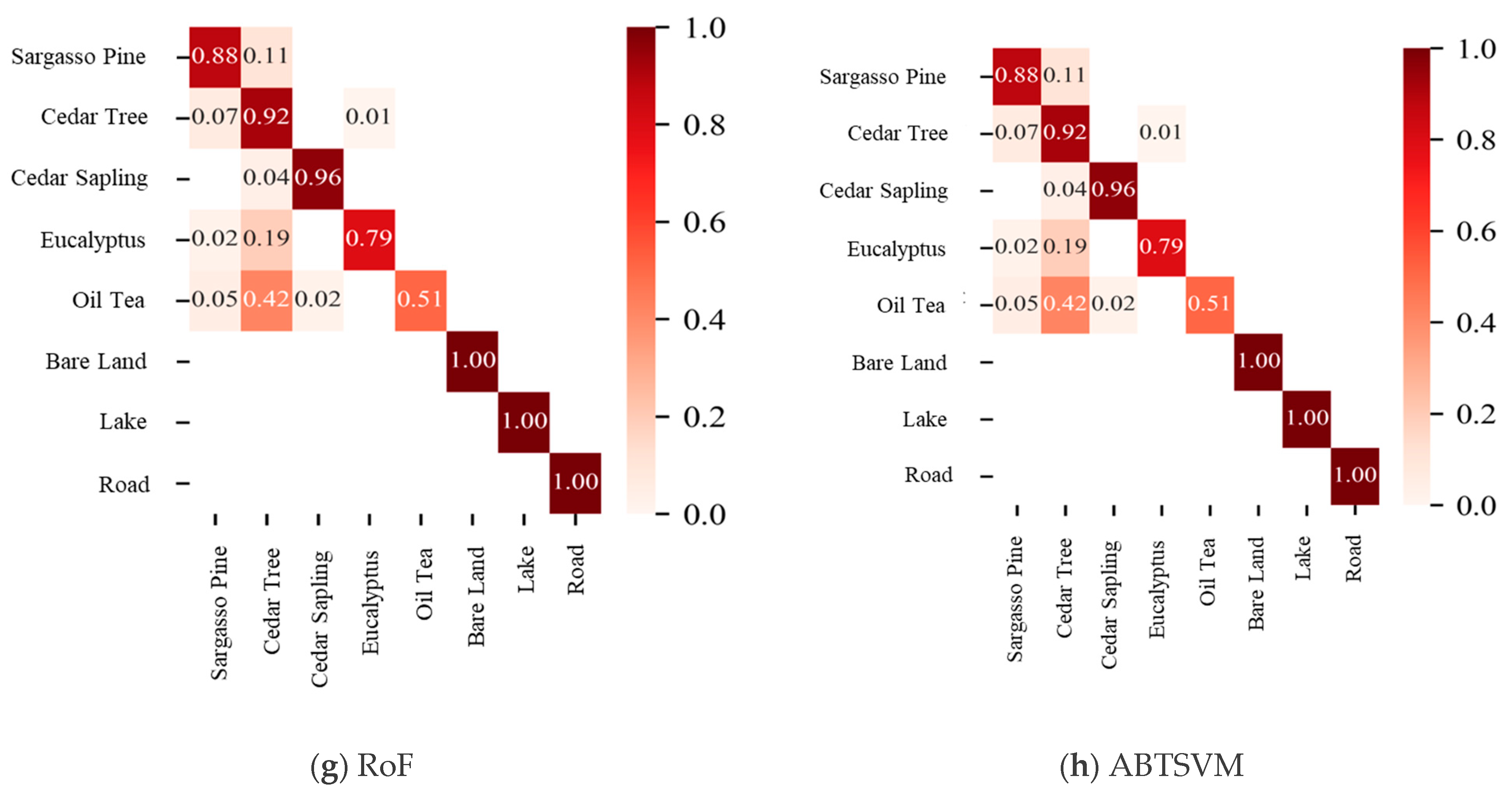 Forests 16 01032 g009b